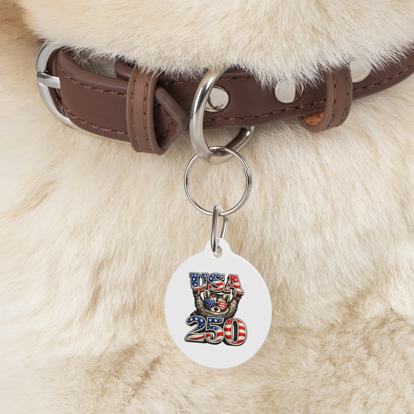Patriotic Raccoon 4th of July Pet Tag — USA 250 Celebration