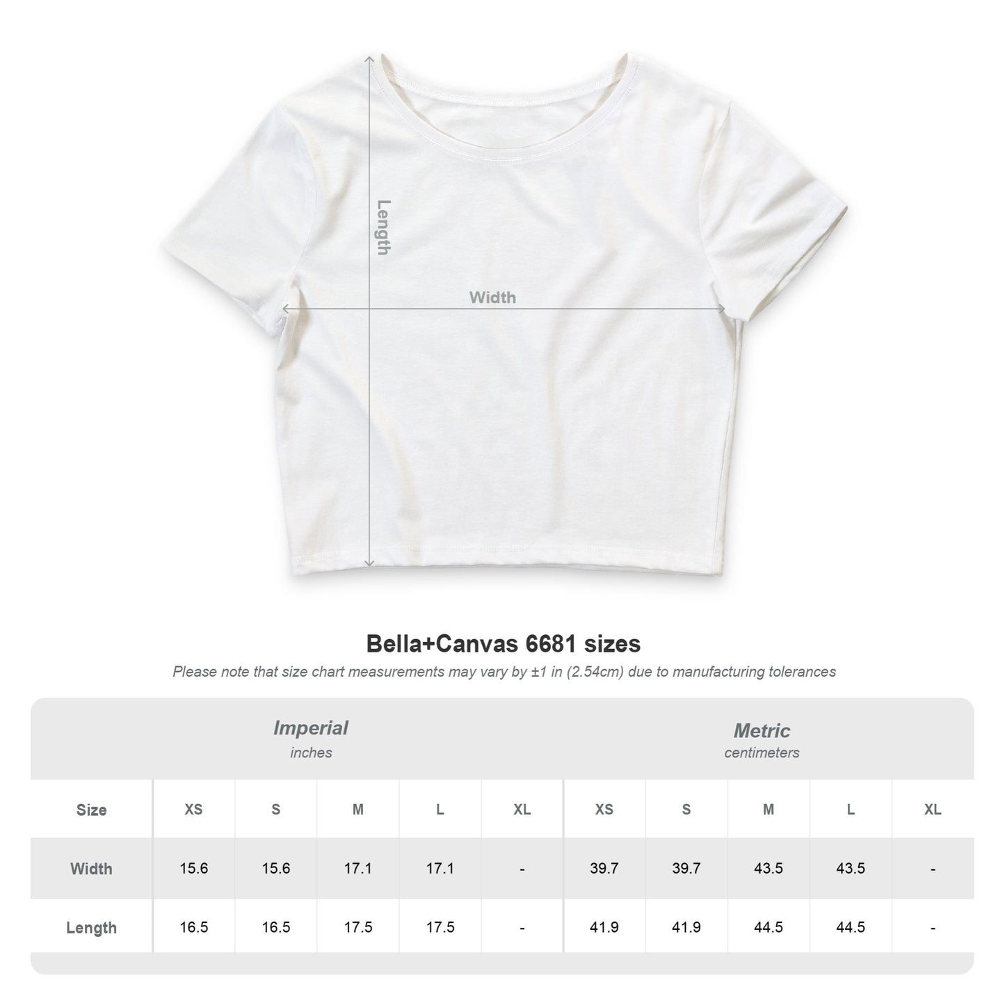 Sunset Dolphin Wave Crop Tee — Women's Ocean Breeze Graphic Crop Top