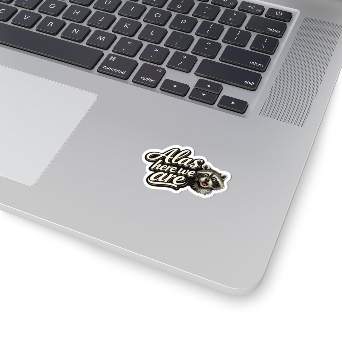 Alas Here We Are Raccoon Stickers