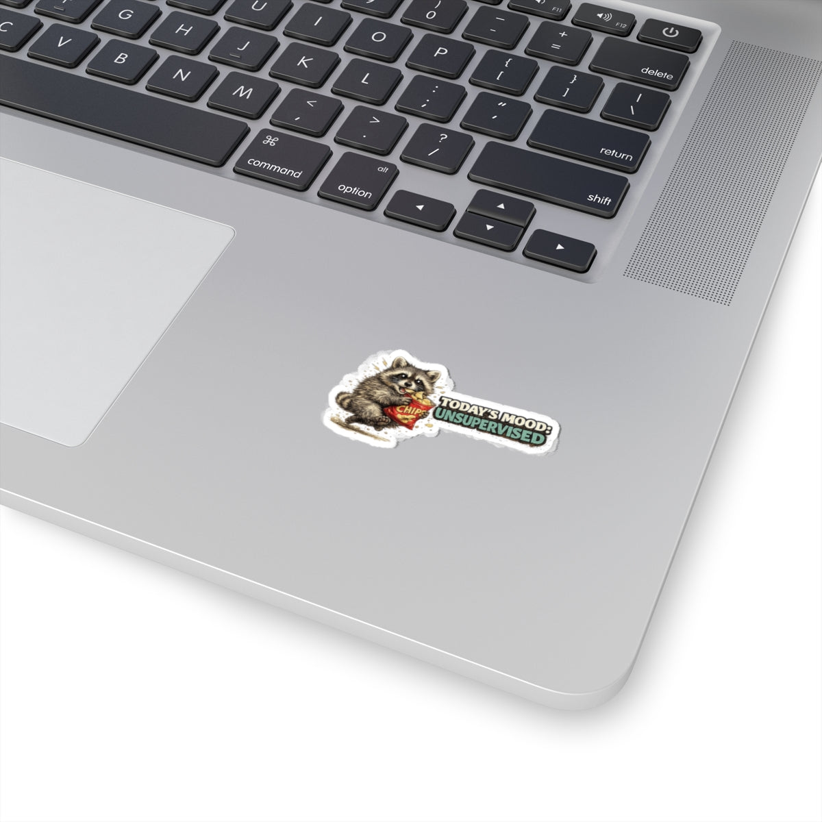 Today's Mood Raccoon Stickers