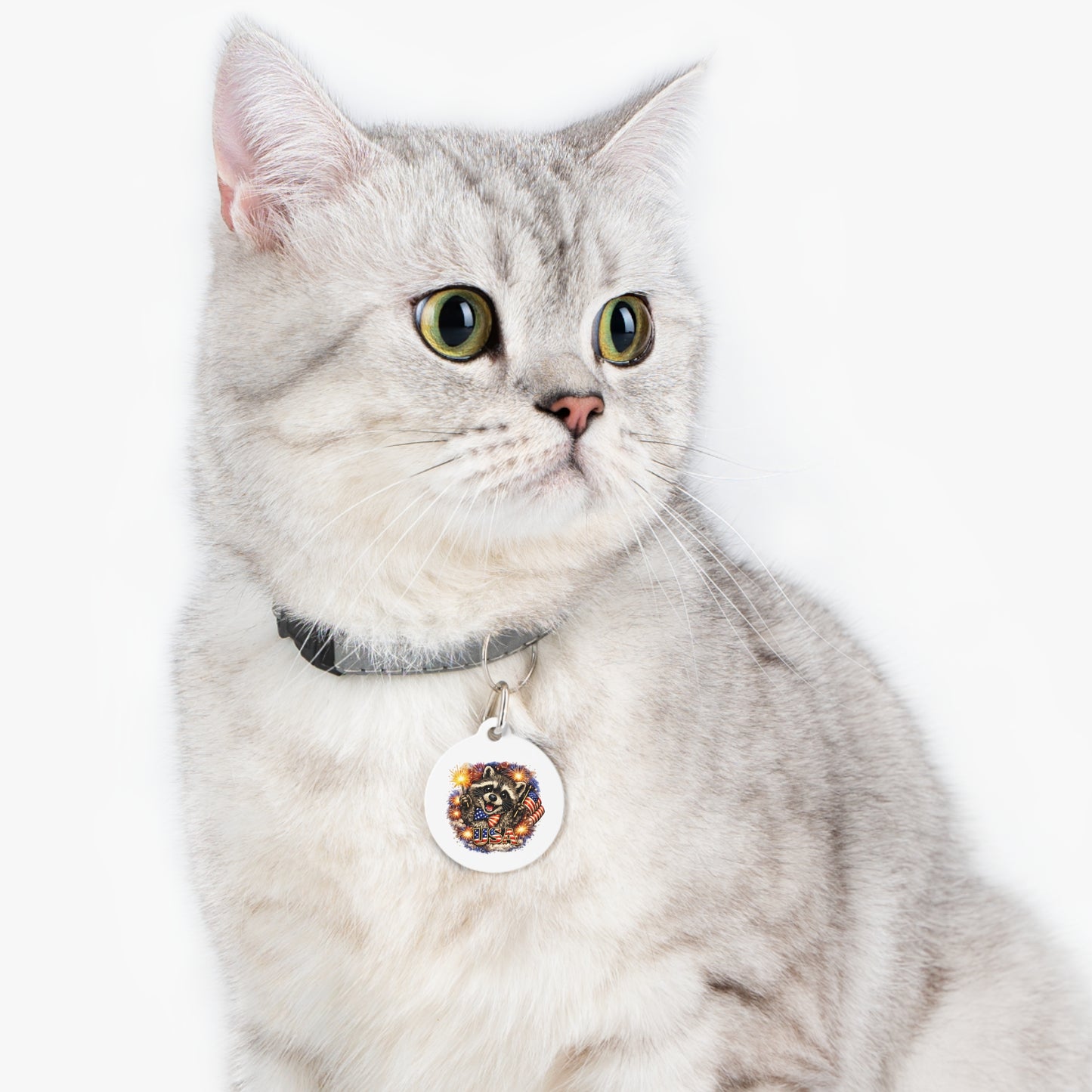Patriotic Raccoon 4th of July Pet Tag — USA 250 Celebration