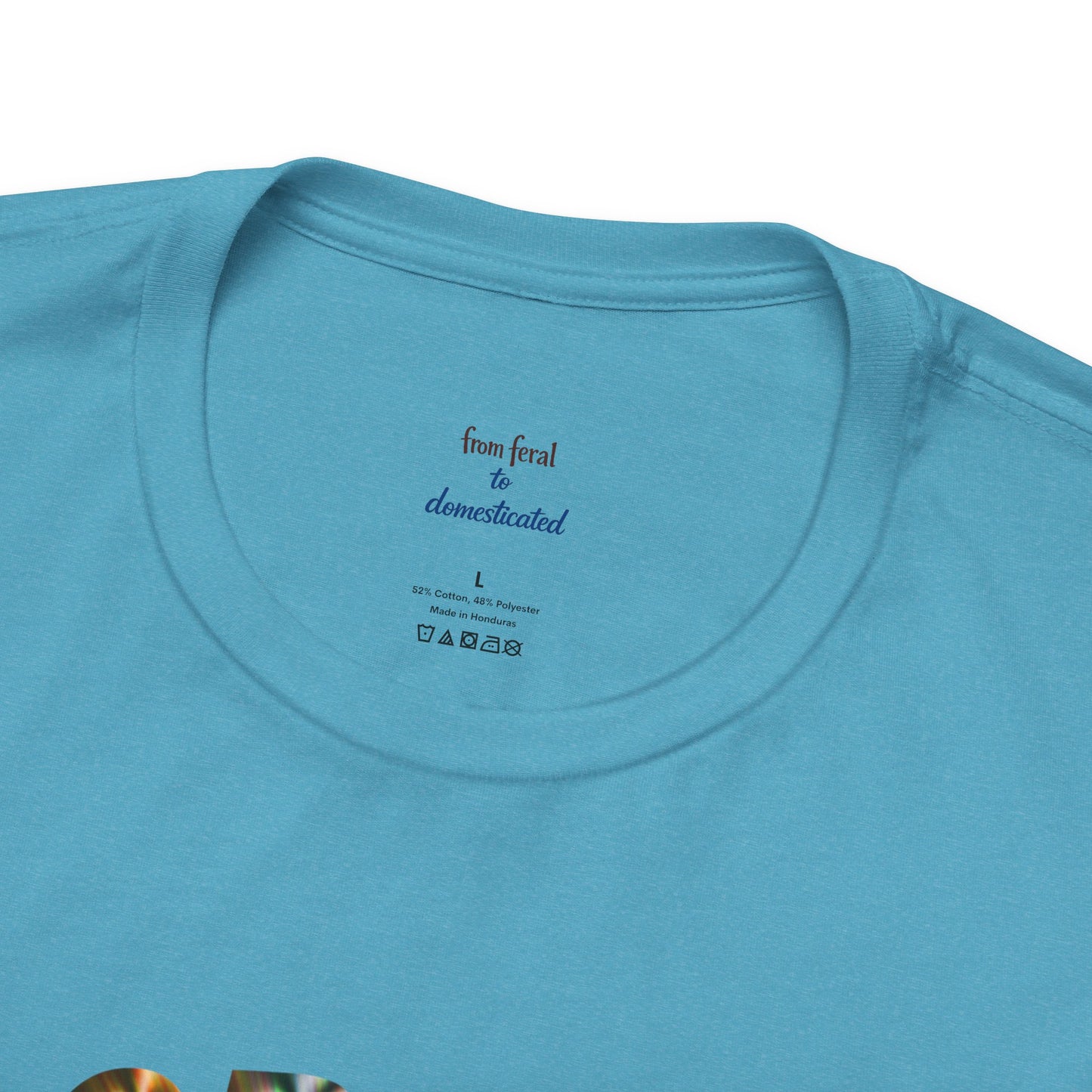Crazy Cat Lady Tee