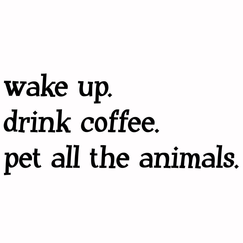 Wake Up