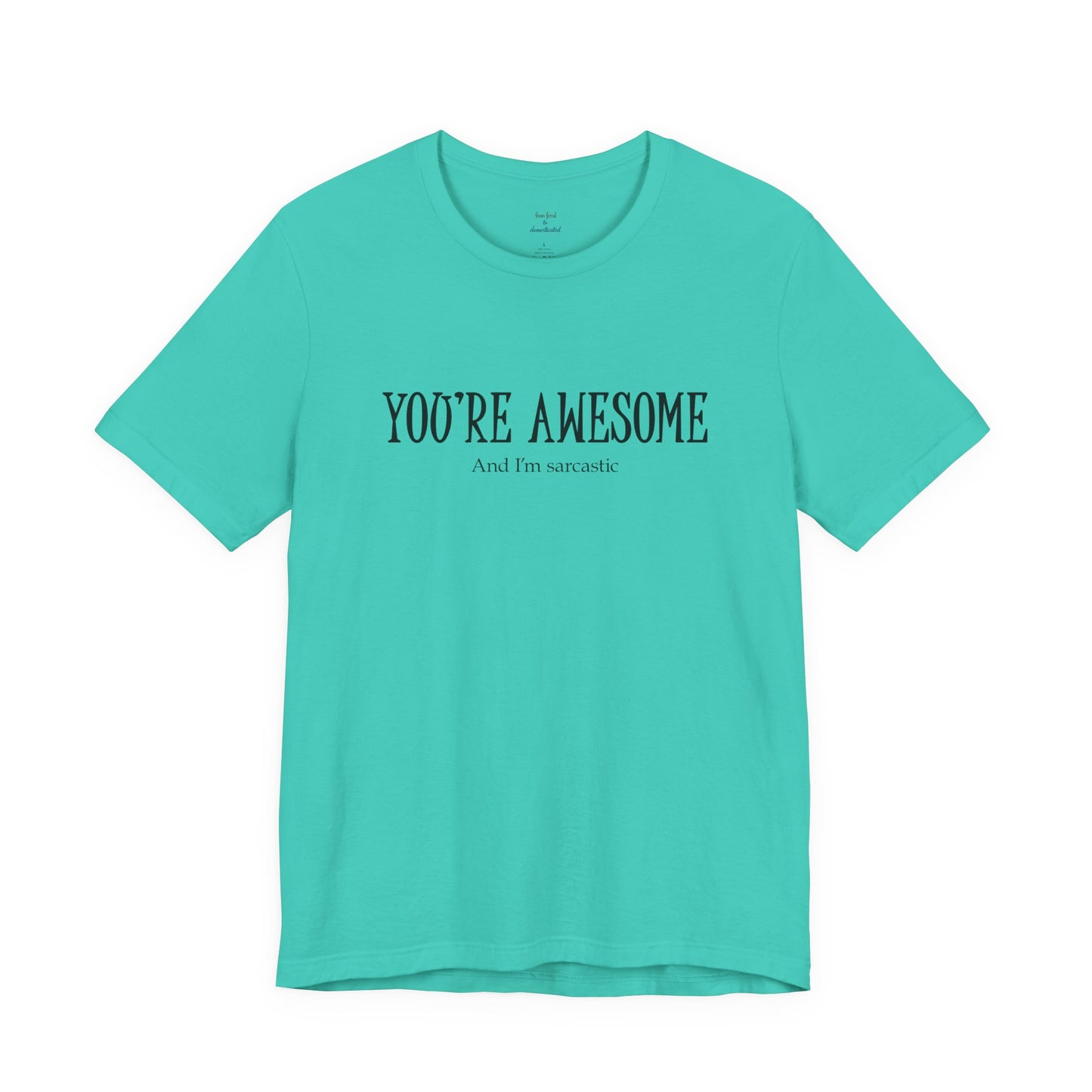 You're Awesome (And I'm Sarcastic) T-Shirt