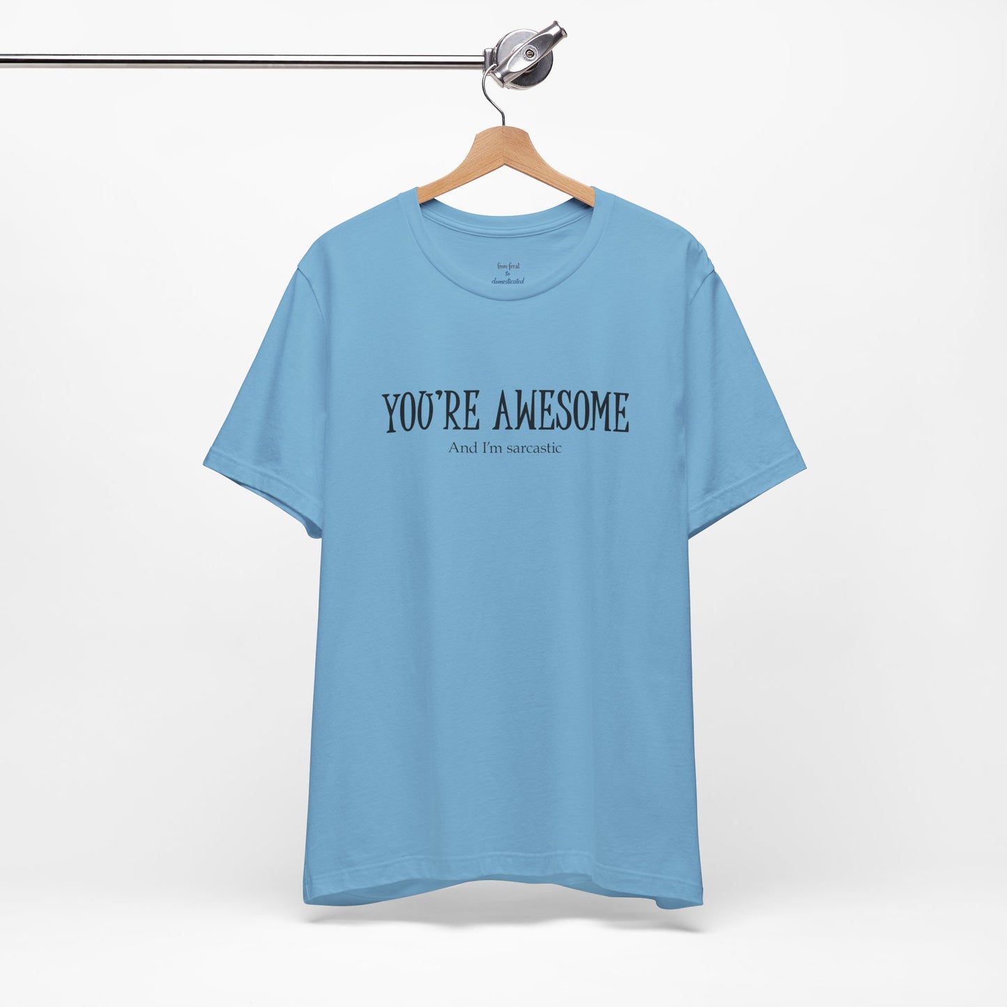 You're Awesome (And I'm Sarcastic) T-Shirt