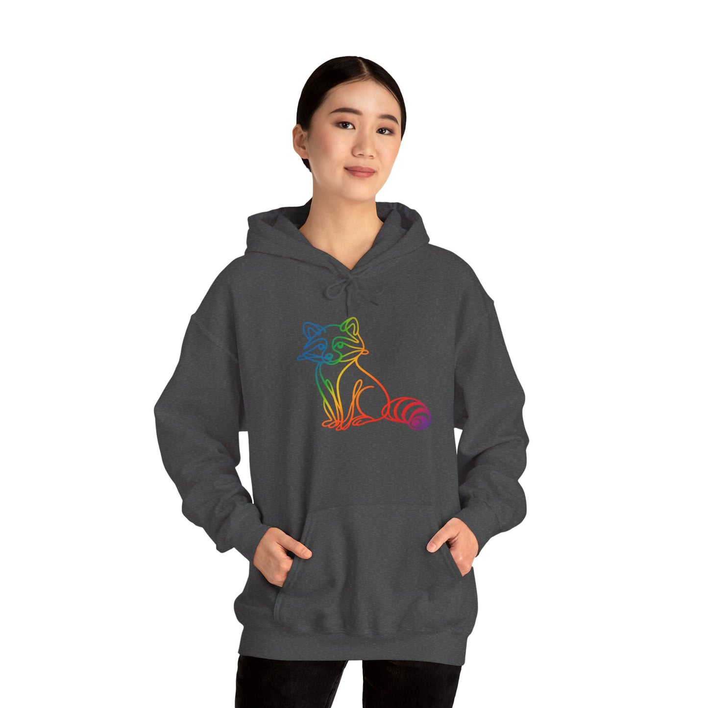 Rainbow Line Art Raccoon Hoodie