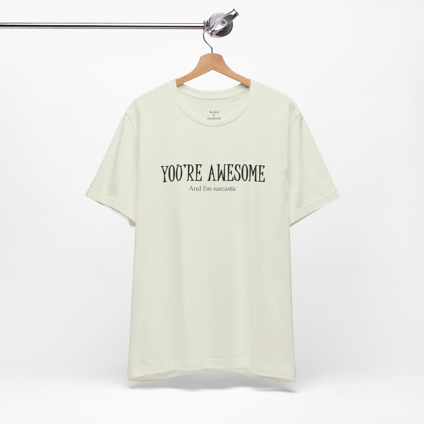 You're Awesome (And I'm Sarcastic) T-Shirt