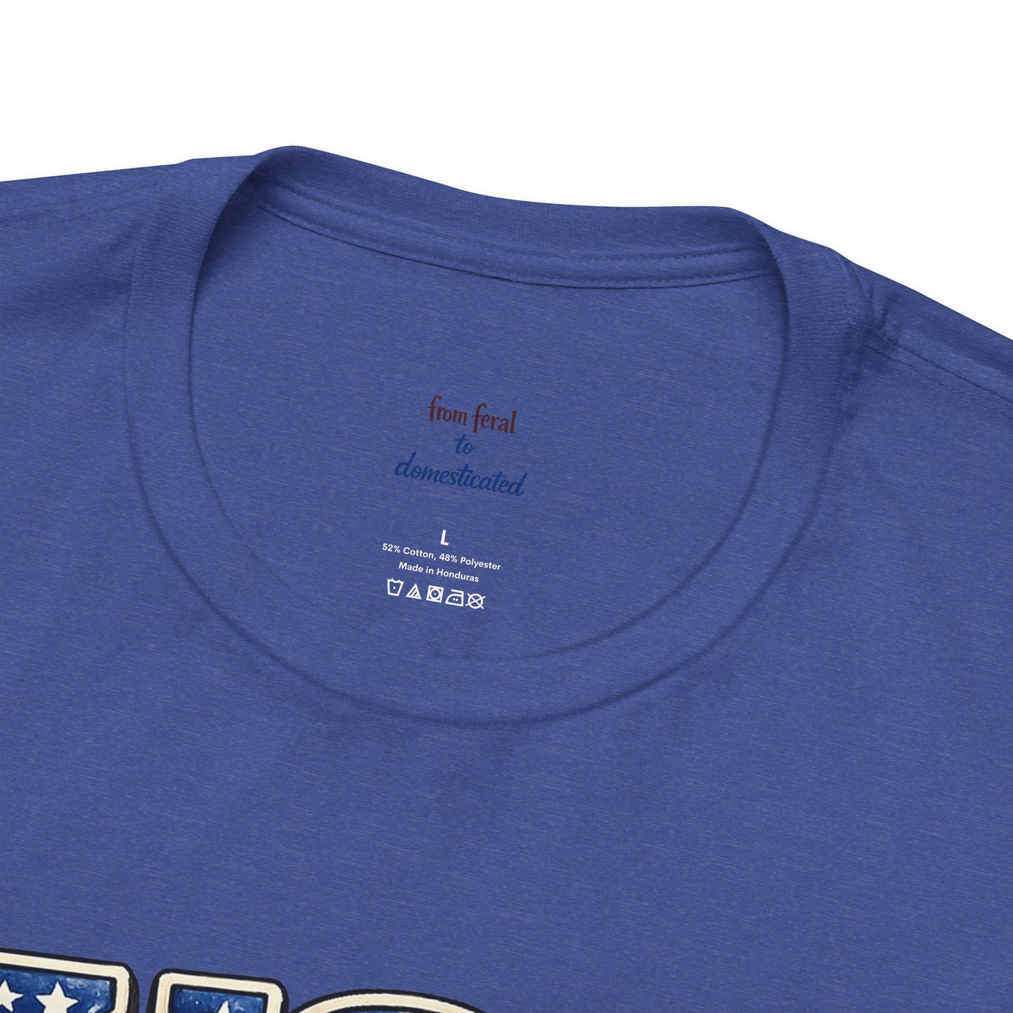 Patriot Raccoon 250th Anniversary T-Shirt — 4th of July Fireworks Flag Tee