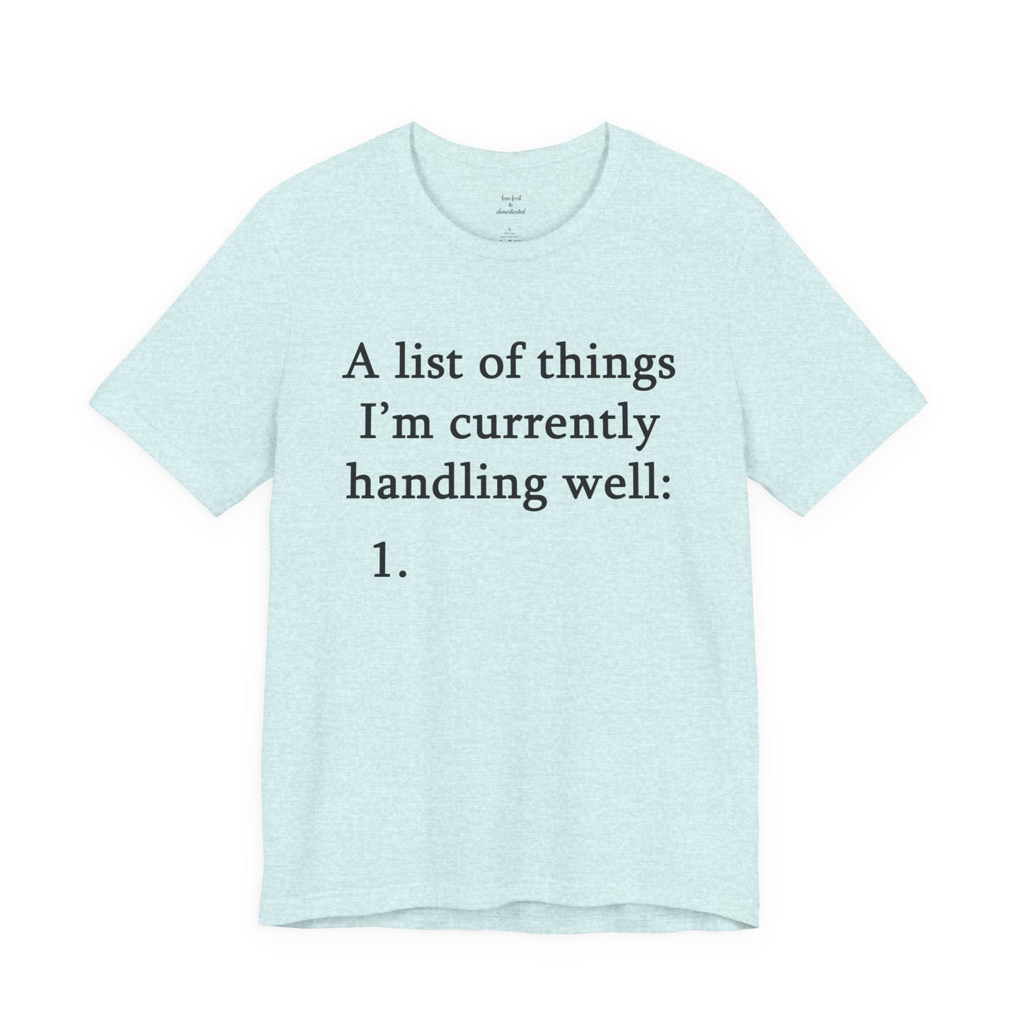 Funny 'A List of Things I'm Currently Handling Well' T-Shirt
