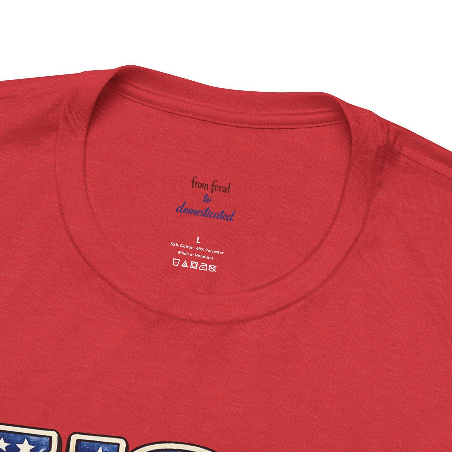 Patriot Raccoon 250th Anniversary T-Shirt — 4th of July Fireworks Flag Tee