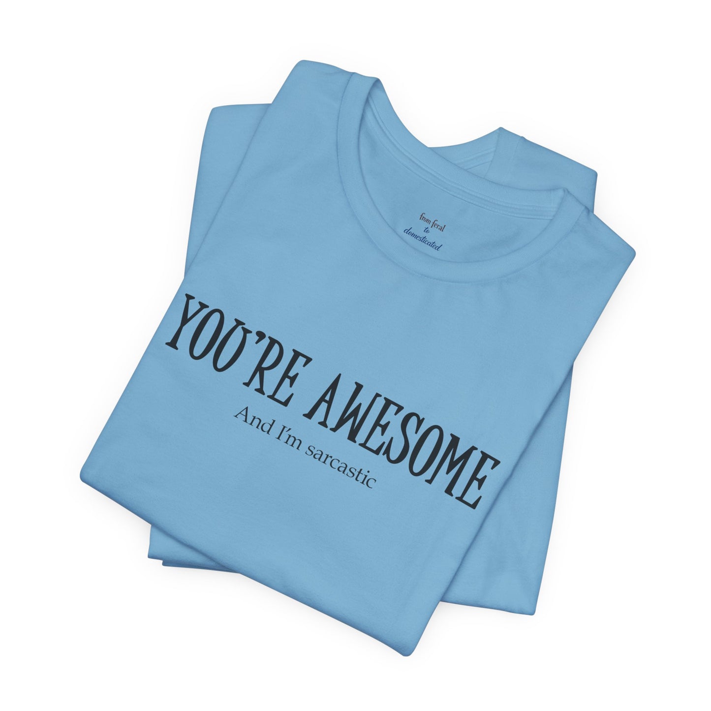 You're Awesome (And I'm Sarcastic) T-Shirt