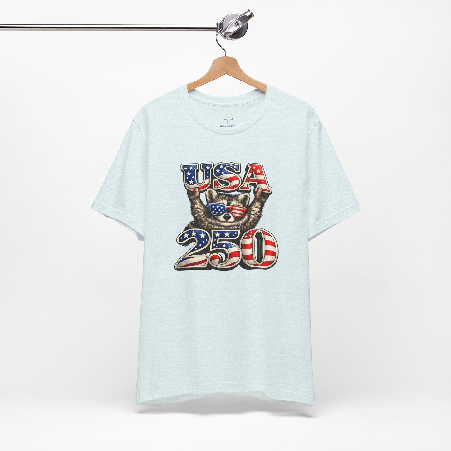 Patriot Raccoon 250th Anniversary T-Shirt — 4th of July Fireworks Flag Tee