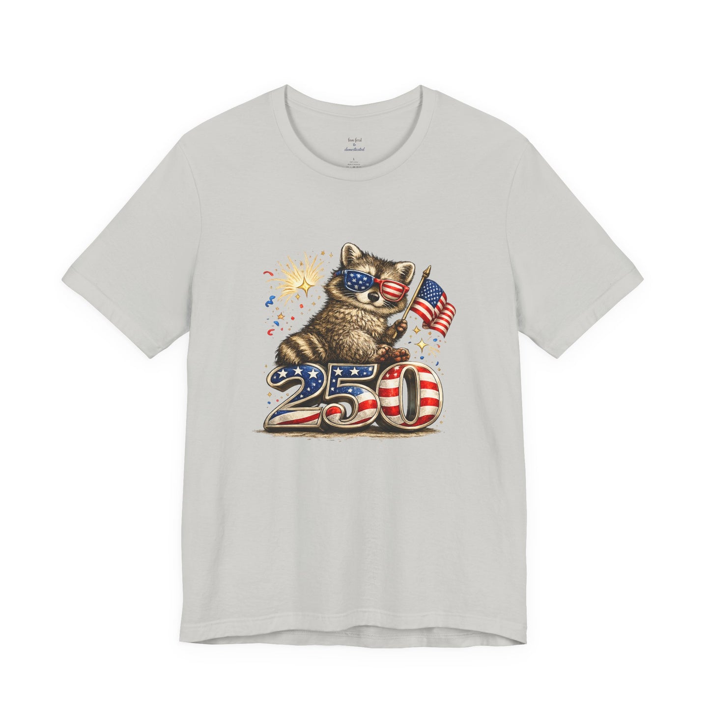 Patriot Raccoon 250th Anniversary T-Shirt — 4th of July Fireworks Flag Tee