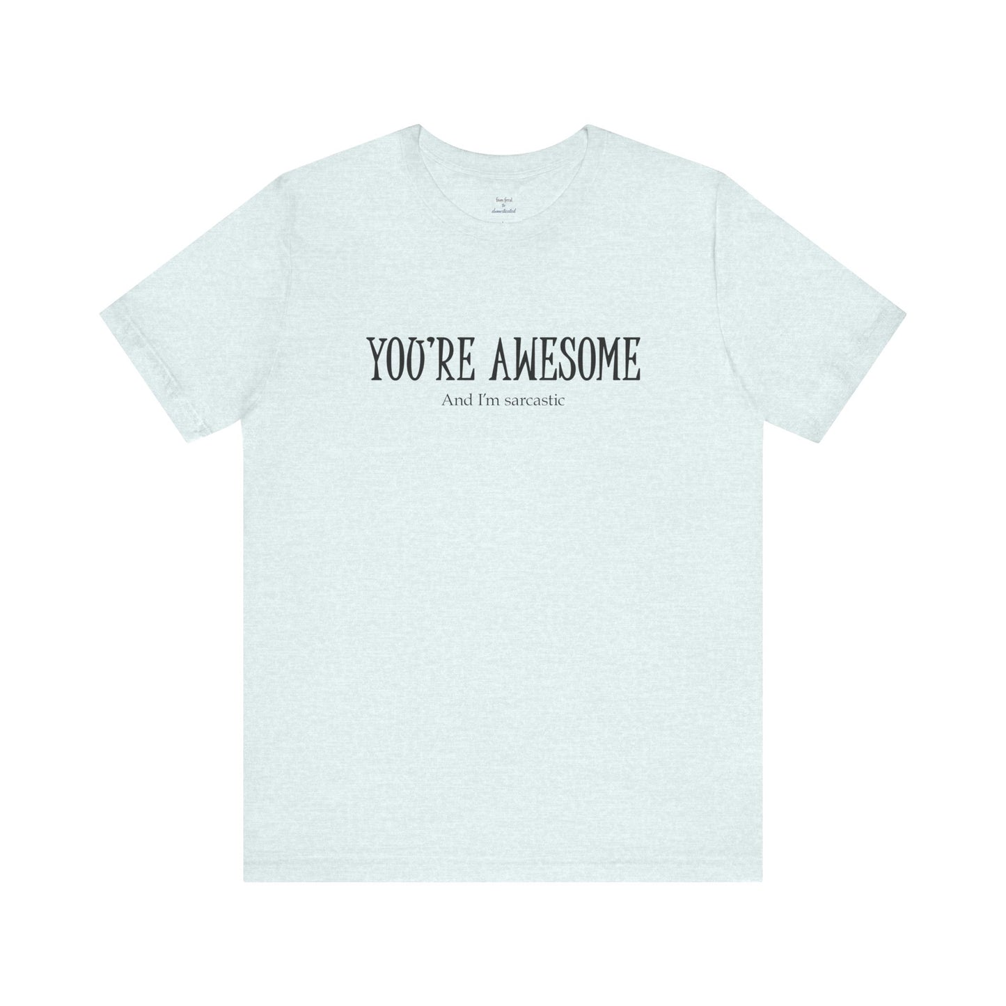 You're Awesome (And I'm Sarcastic) T-Shirt