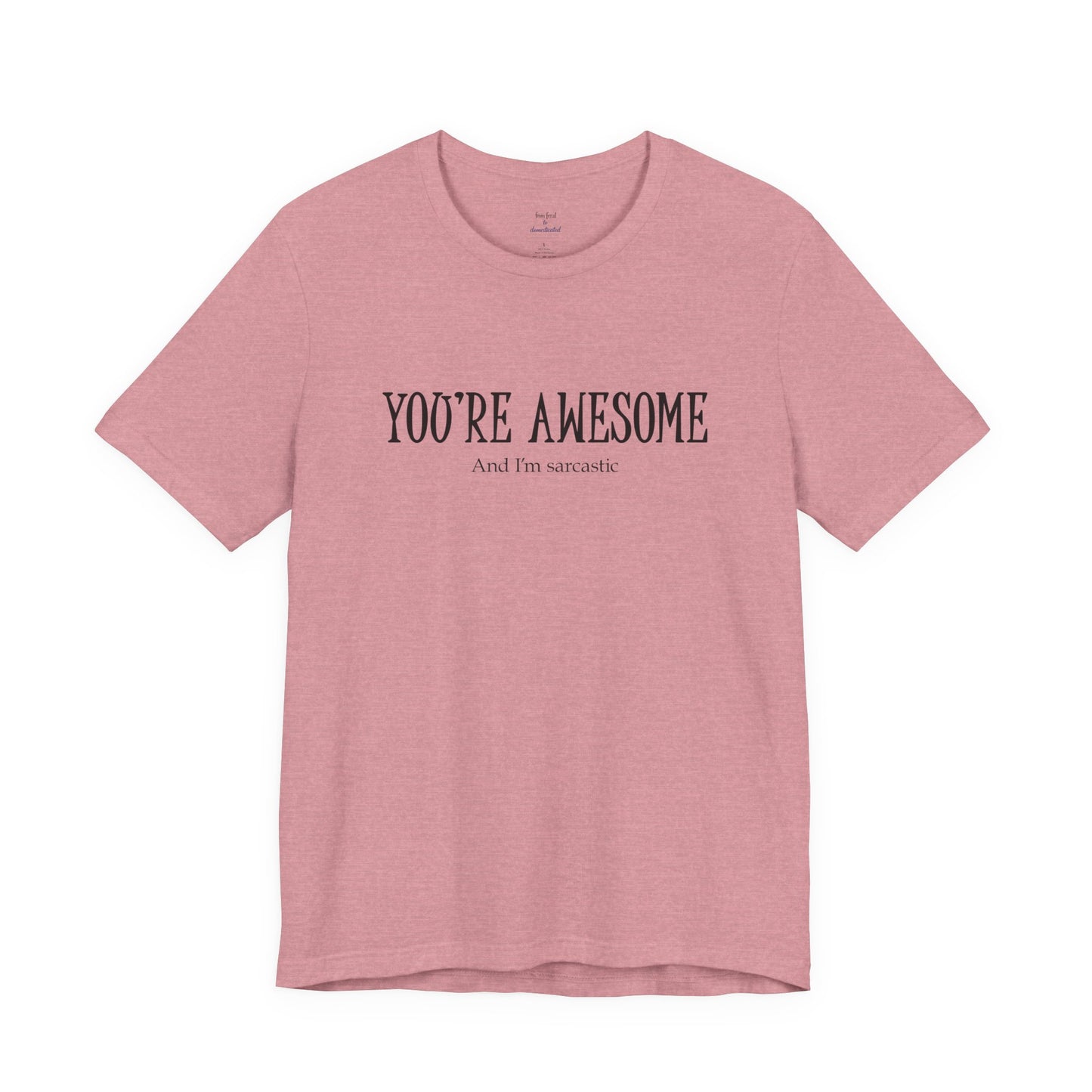You're Awesome (And I'm Sarcastic) T-Shirt