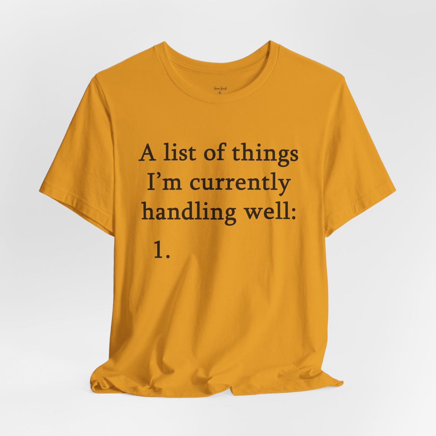Funny 'A List of Things I'm Currently Handling Well' T-Shirt