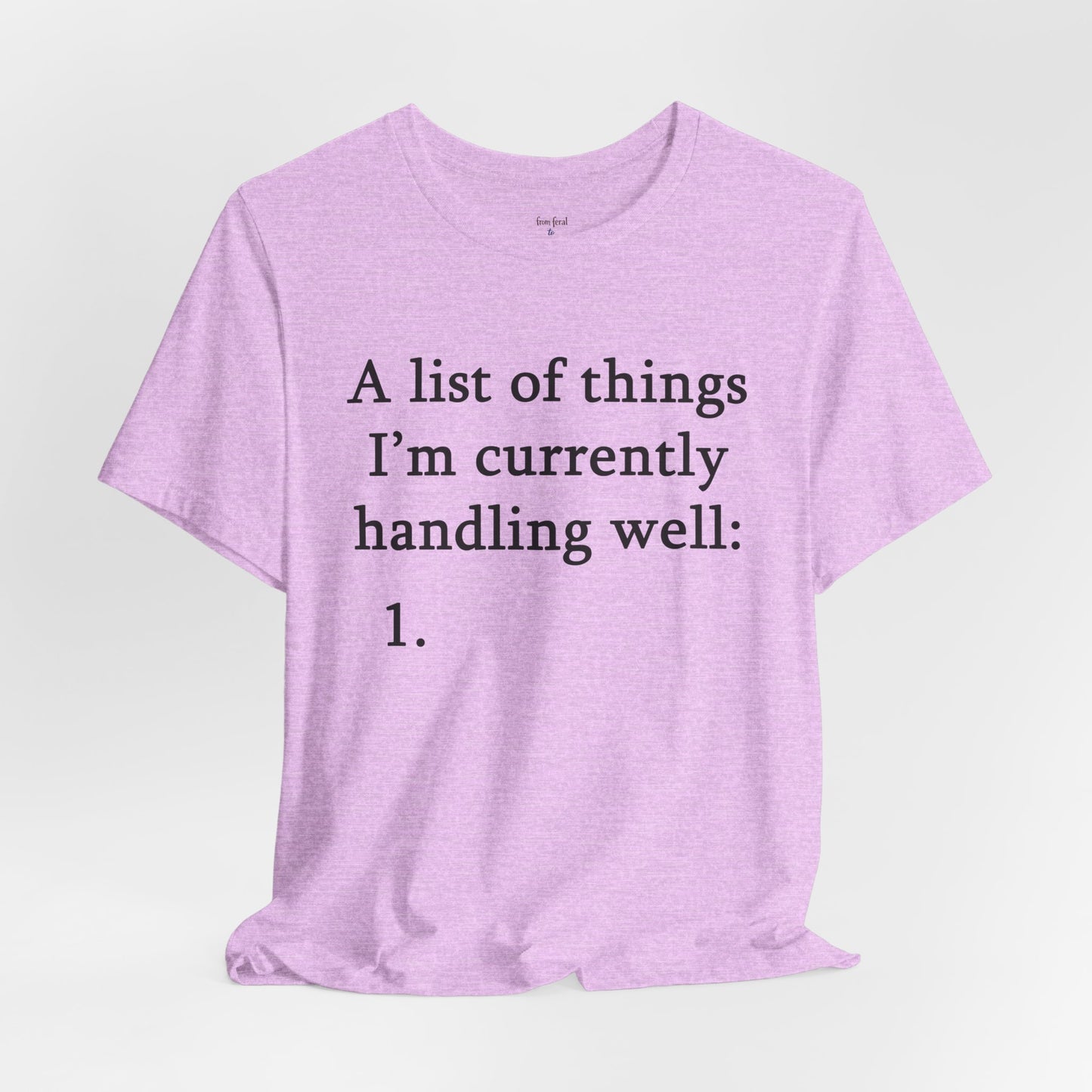 Funny 'A List of Things I'm Currently Handling Well' T-Shirt