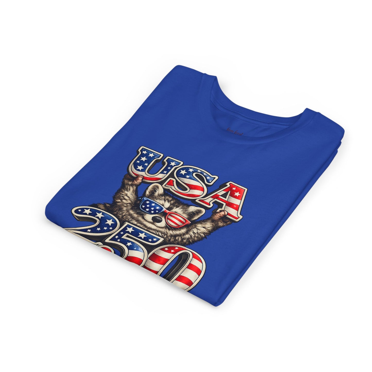 Patriotic Raccoon Youth Tee — Raccoon with USA 250