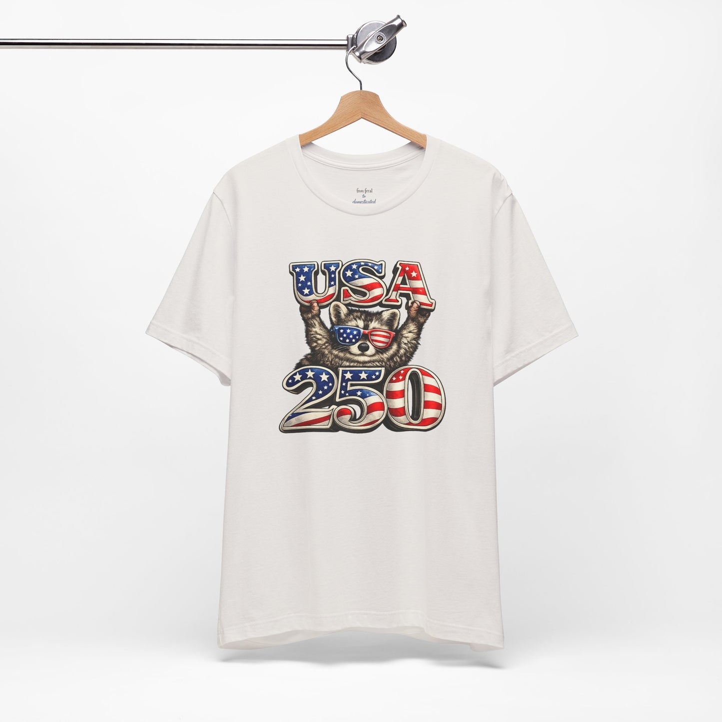 Patriot Raccoon 250th Anniversary T-Shirt — 4th of July Fireworks Flag Tee