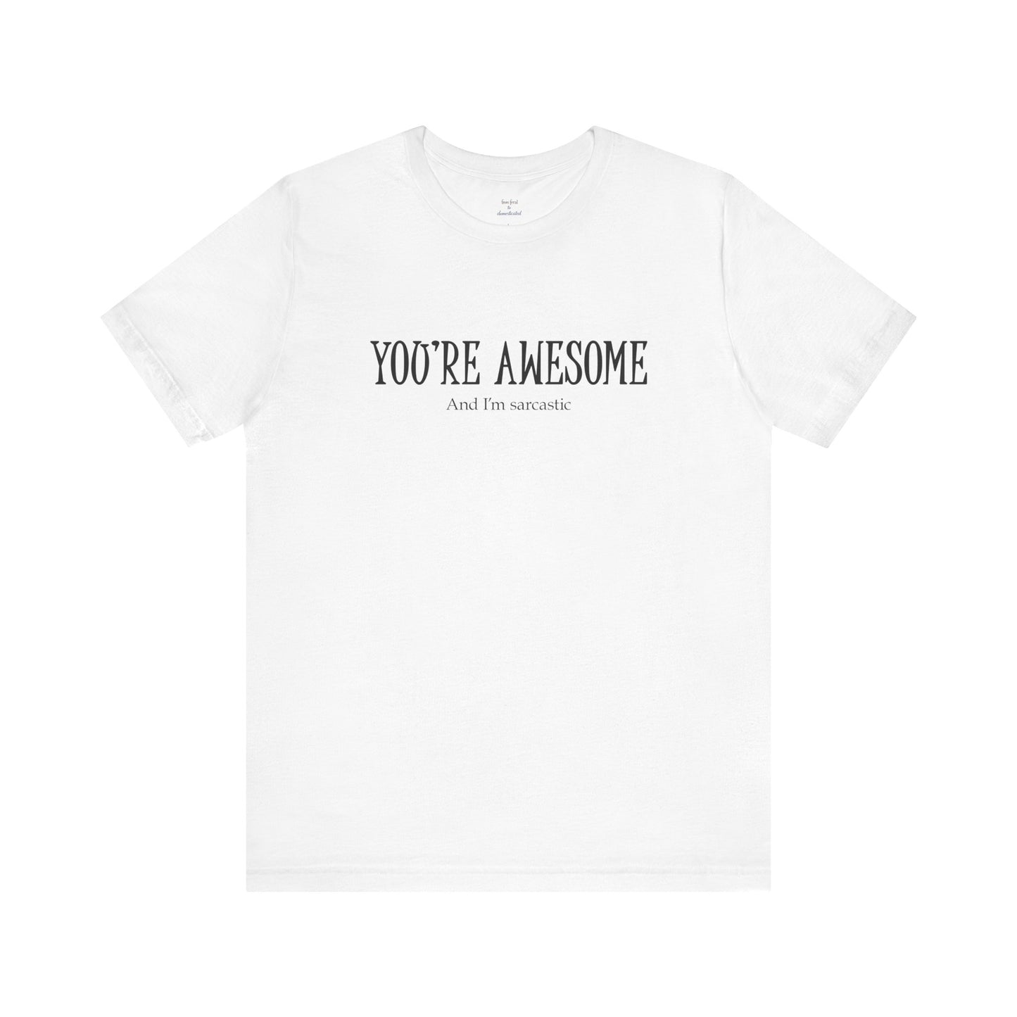 You're Awesome (And I'm Sarcastic) T-Shirt