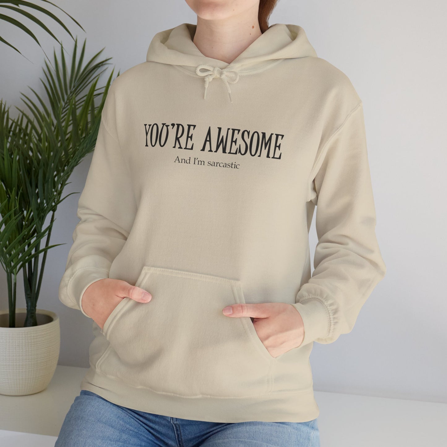 You're Awesome | I'm sarcastic Hoodie
