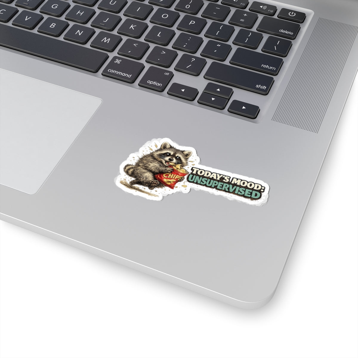 Today's Mood Raccoon Stickers
