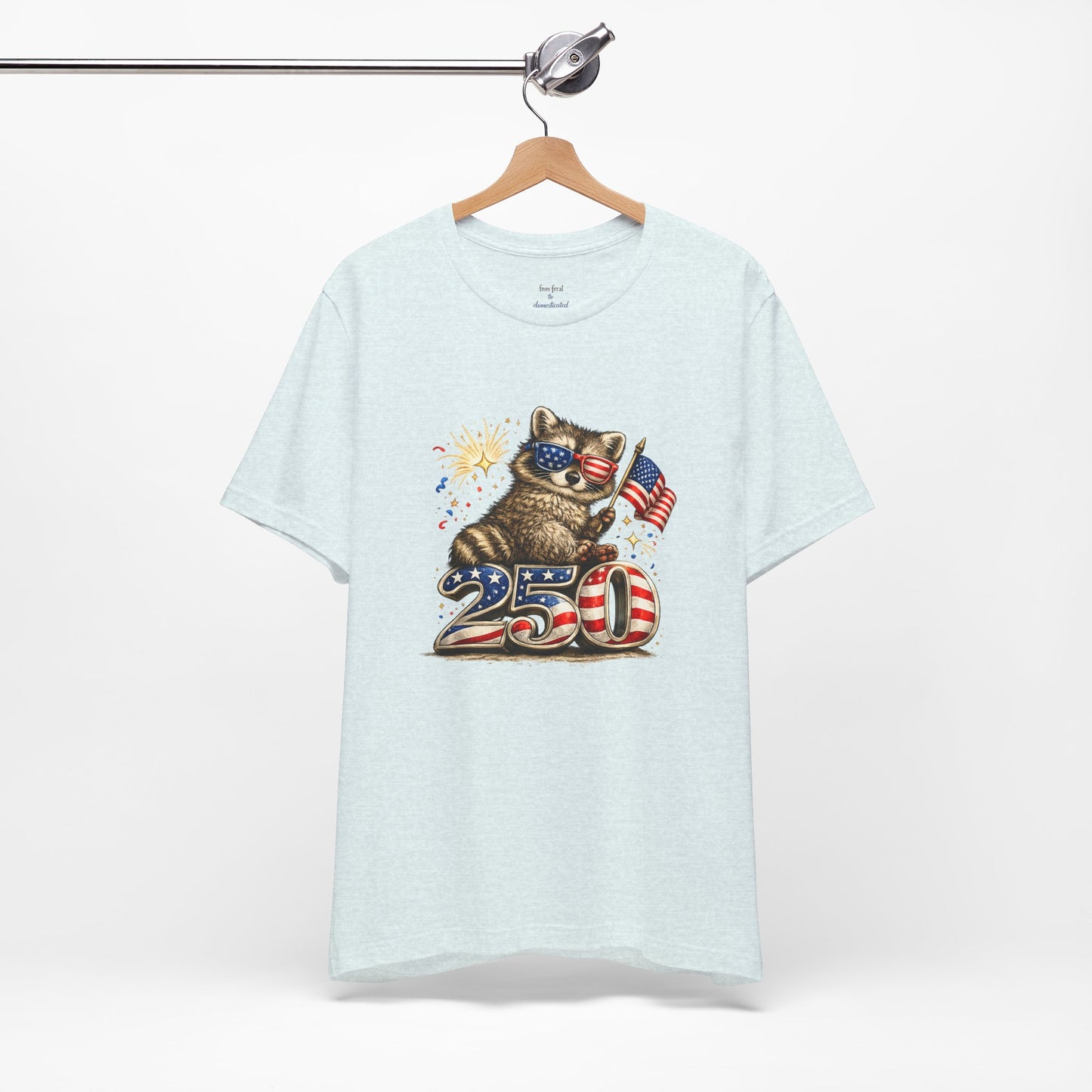 Patriot Raccoon 250th Anniversary T-Shirt — 4th of July Fireworks Flag Tee