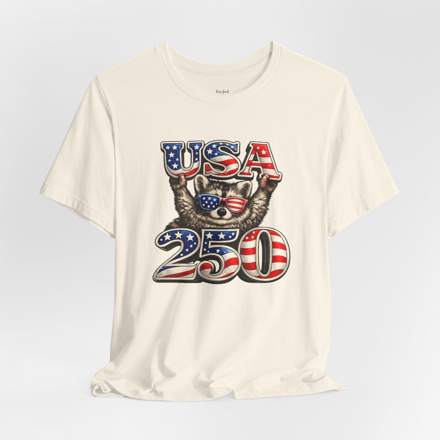 Patriot Raccoon 250th Anniversary T-Shirt — 4th of July Fireworks Flag Tee