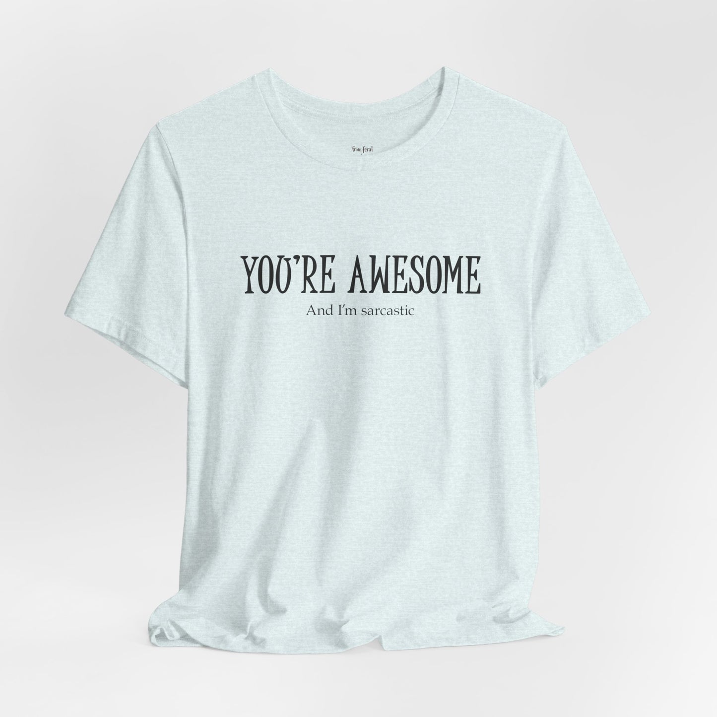 You're Awesome (And I'm Sarcastic) T-Shirt