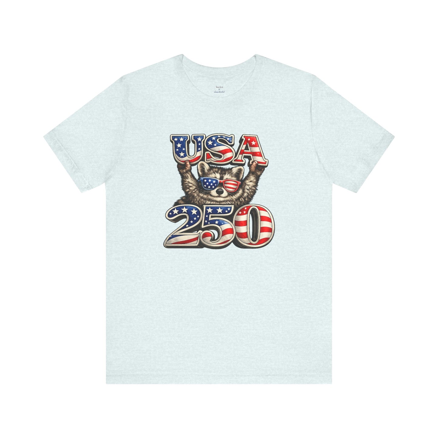 Patriot Raccoon 250th Anniversary T-Shirt — 4th of July Fireworks Flag Tee