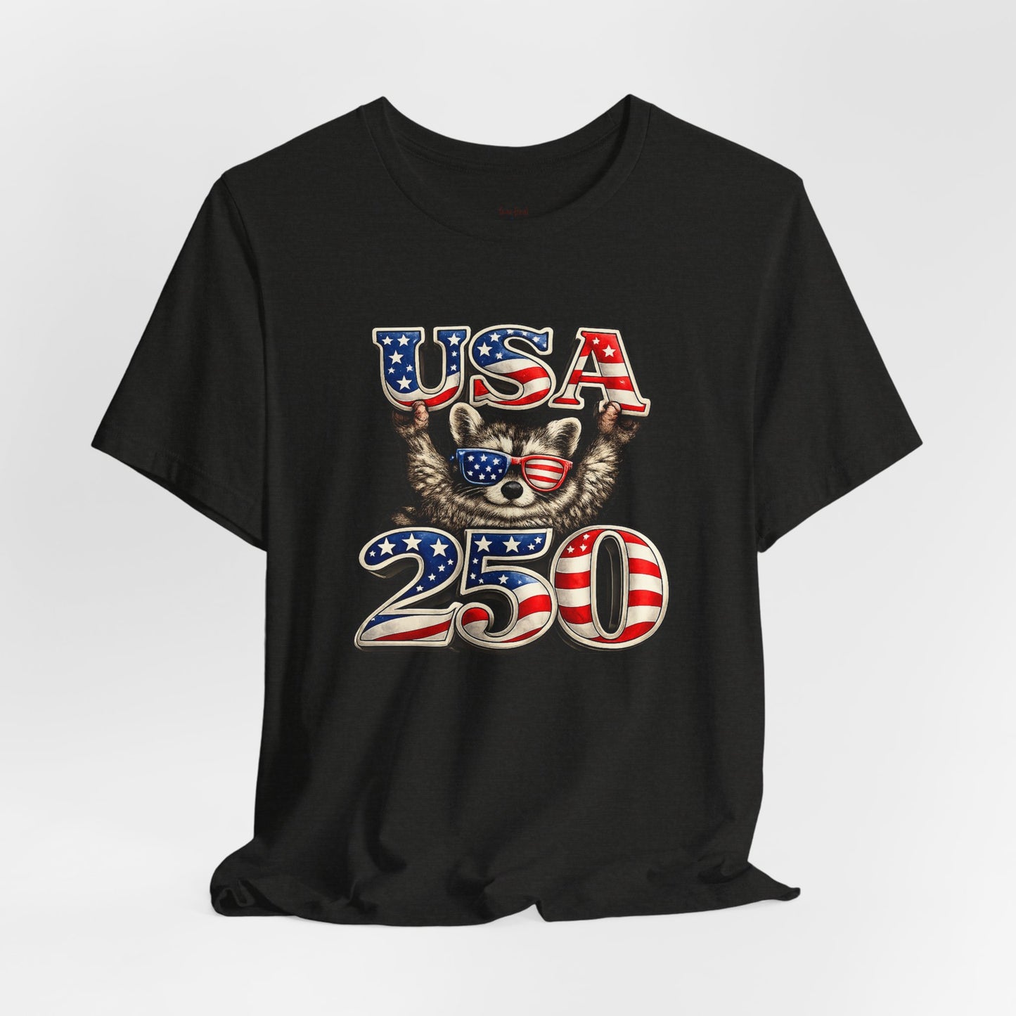 Patriot Raccoon 250th Anniversary T-Shirt — 4th of July Fireworks Flag Tee