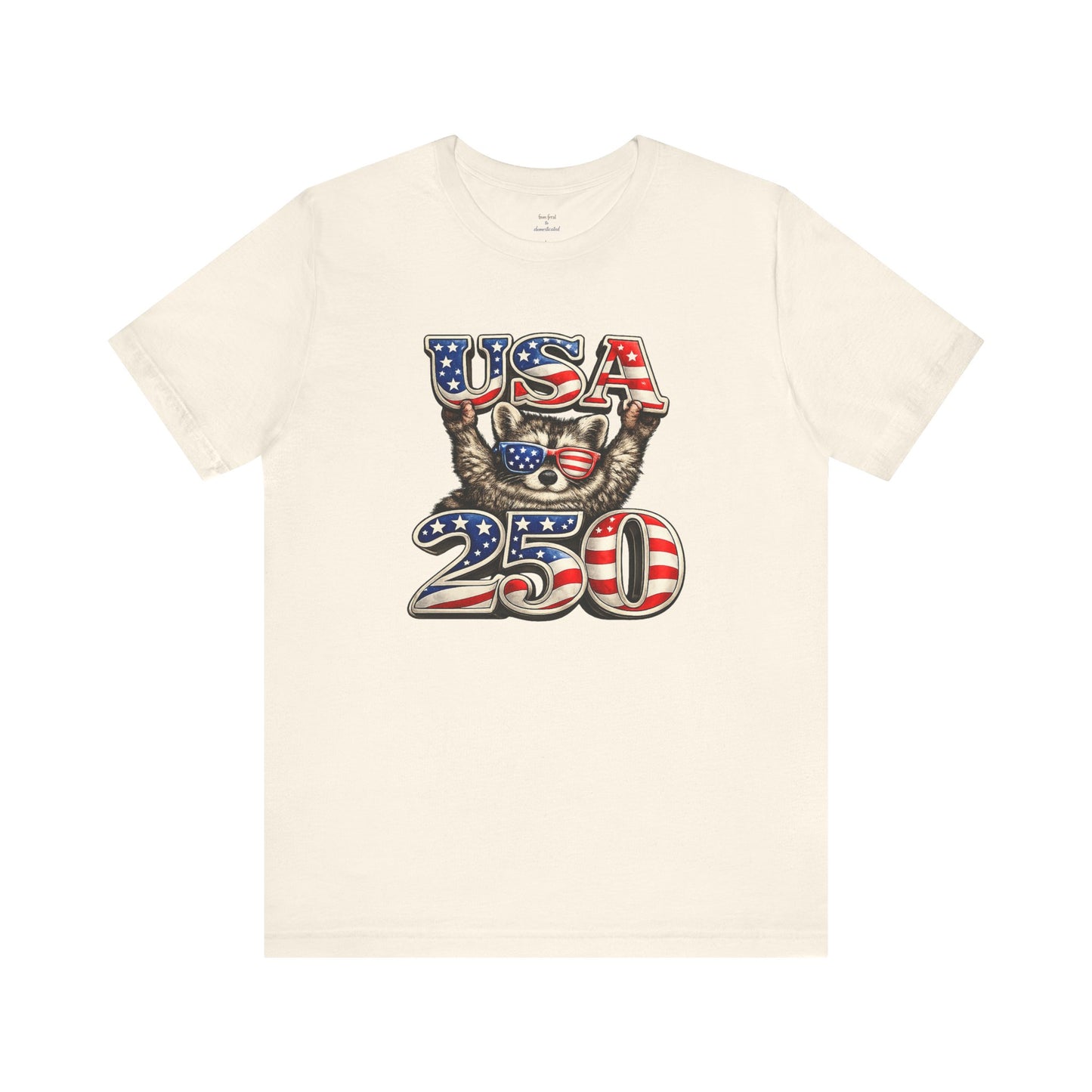 Patriot Raccoon 250th Anniversary T-Shirt — 4th of July Fireworks Flag Tee