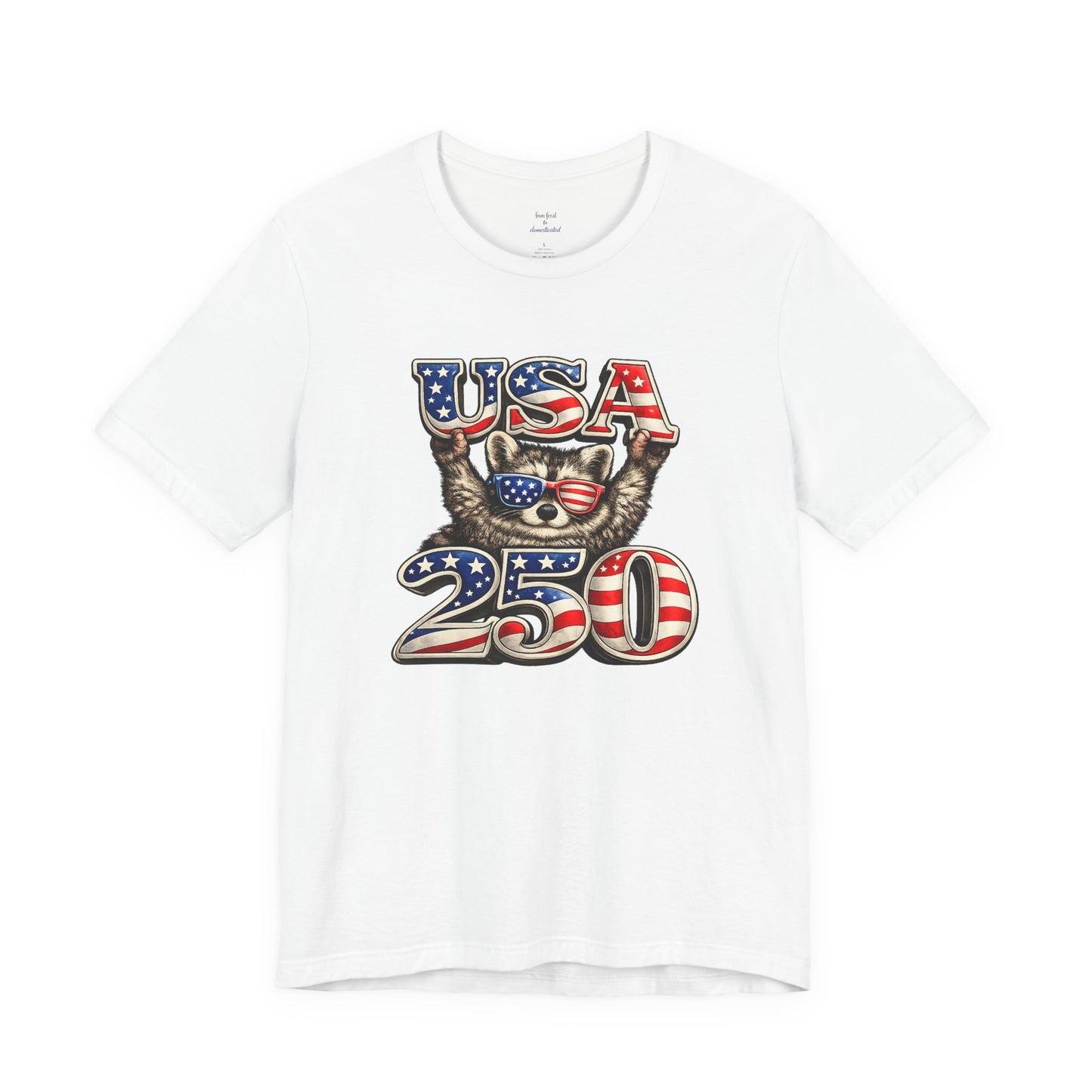 Patriot Raccoon 250th Anniversary T-Shirt — 4th of July Fireworks Flag Tee