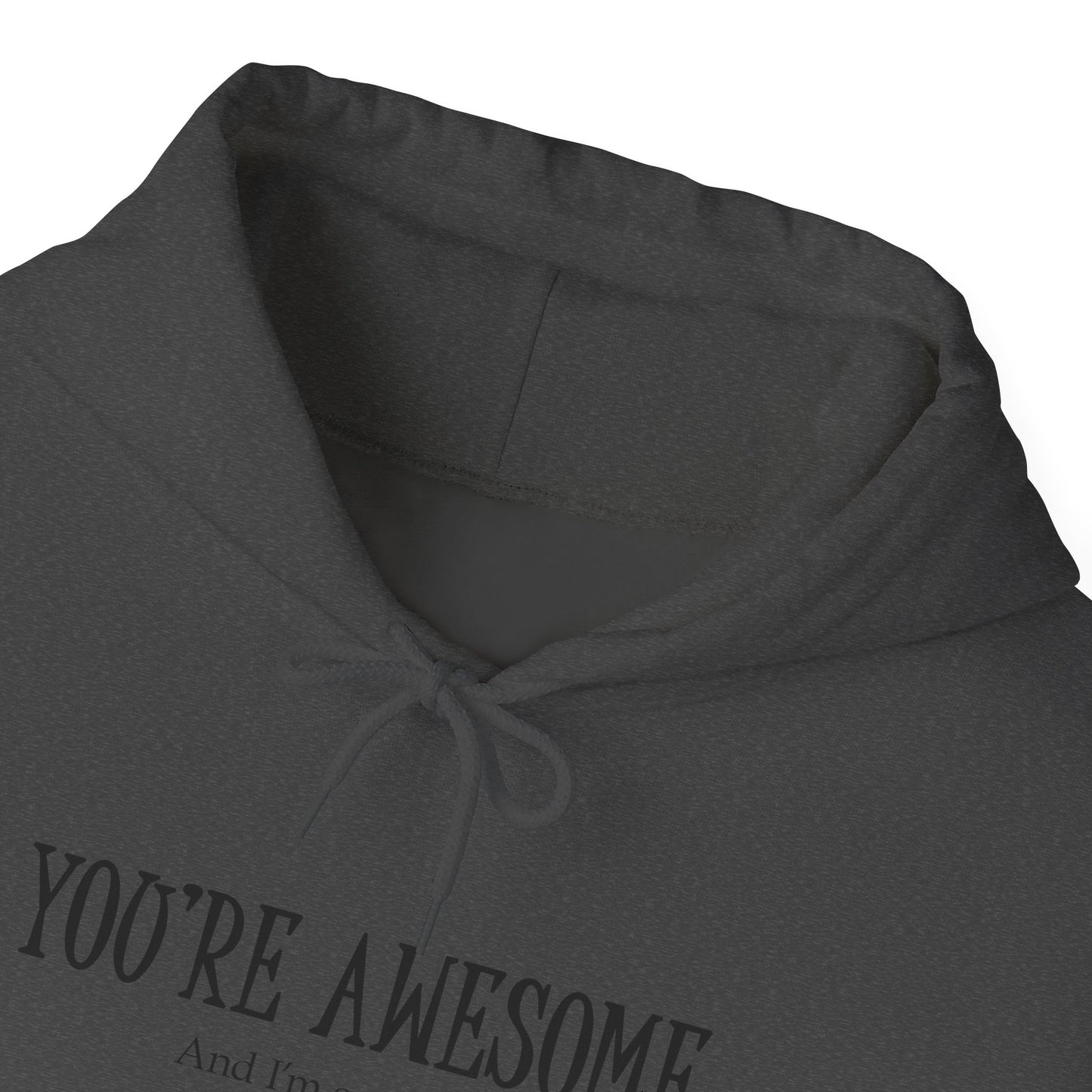You're Awesome | I'm sarcastic Hoodie