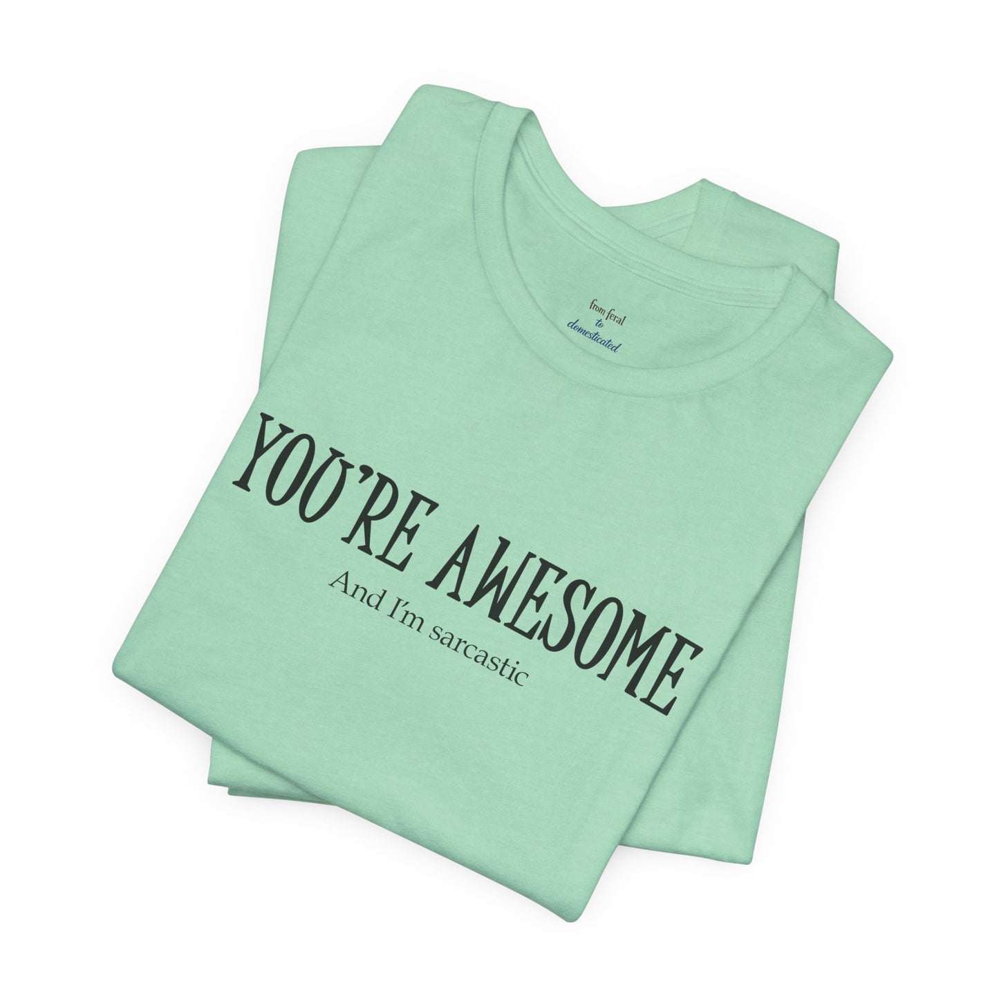 You're Awesome (And I'm Sarcastic) T-Shirt