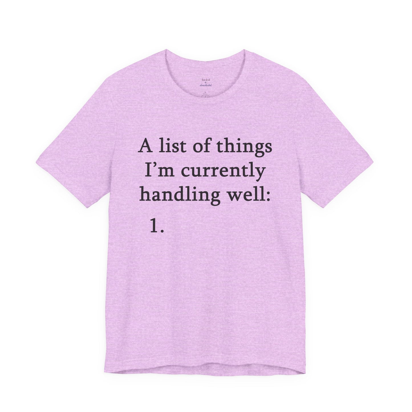 Funny 'A List of Things I'm Currently Handling Well' T-Shirt