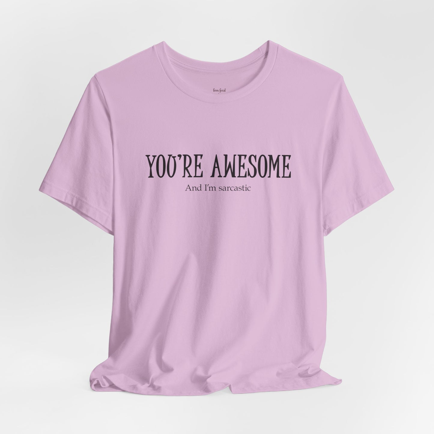 You're Awesome (And I'm Sarcastic) T-Shirt