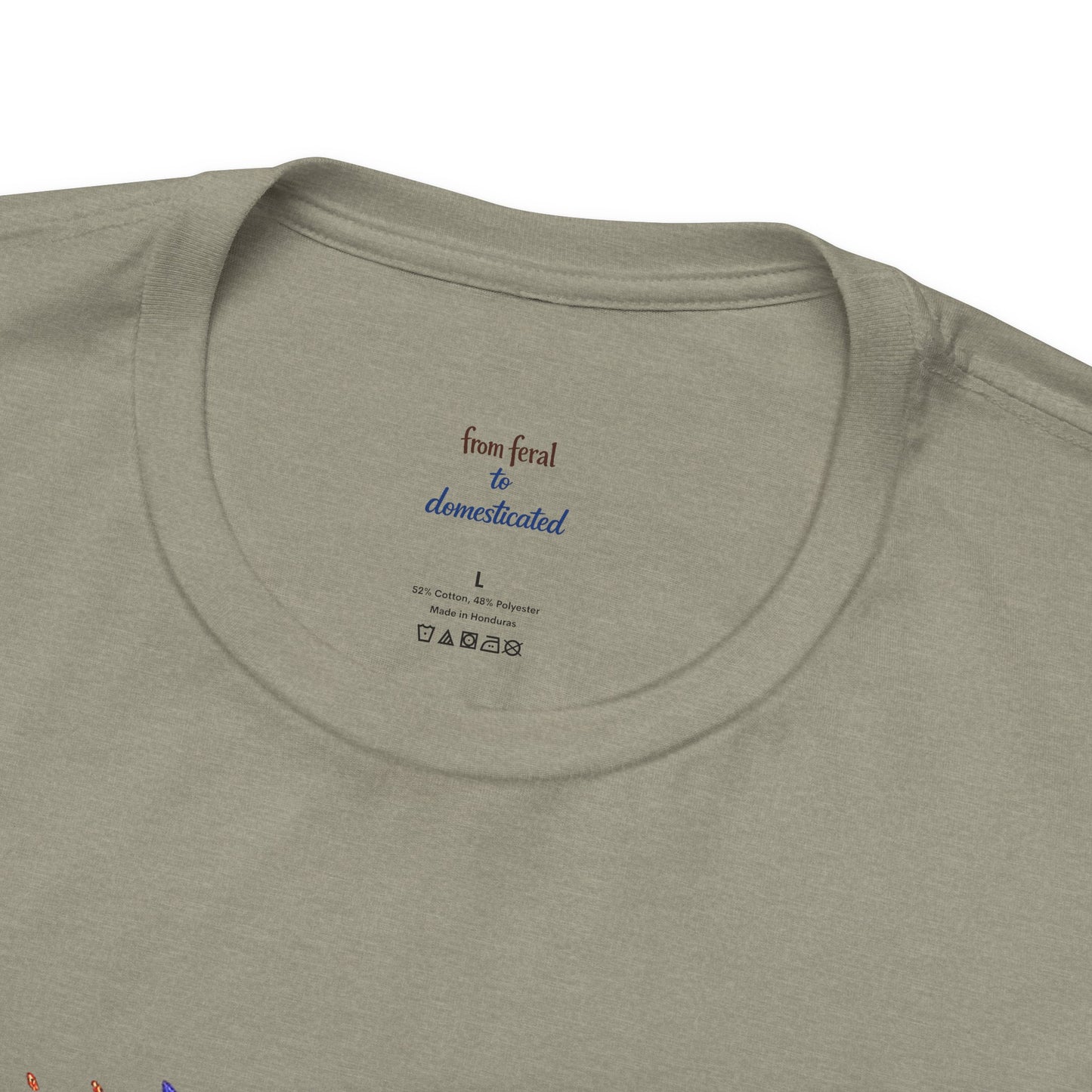 Patriot Raccoon 250th Anniversary T-Shirt — 4th of July Fireworks Flag Tee