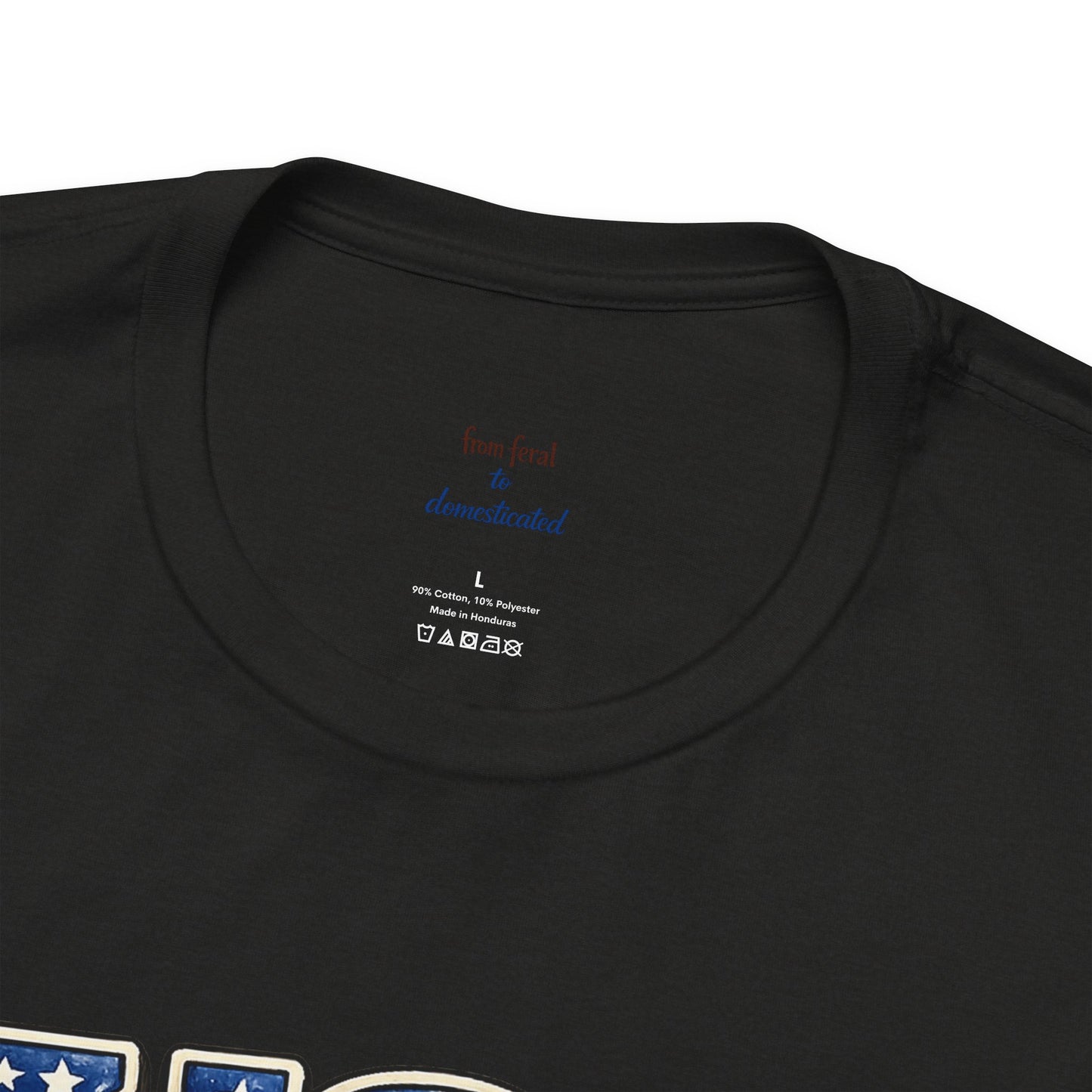 Patriot Raccoon 250th Anniversary T-Shirt — 4th of July Fireworks Flag Tee