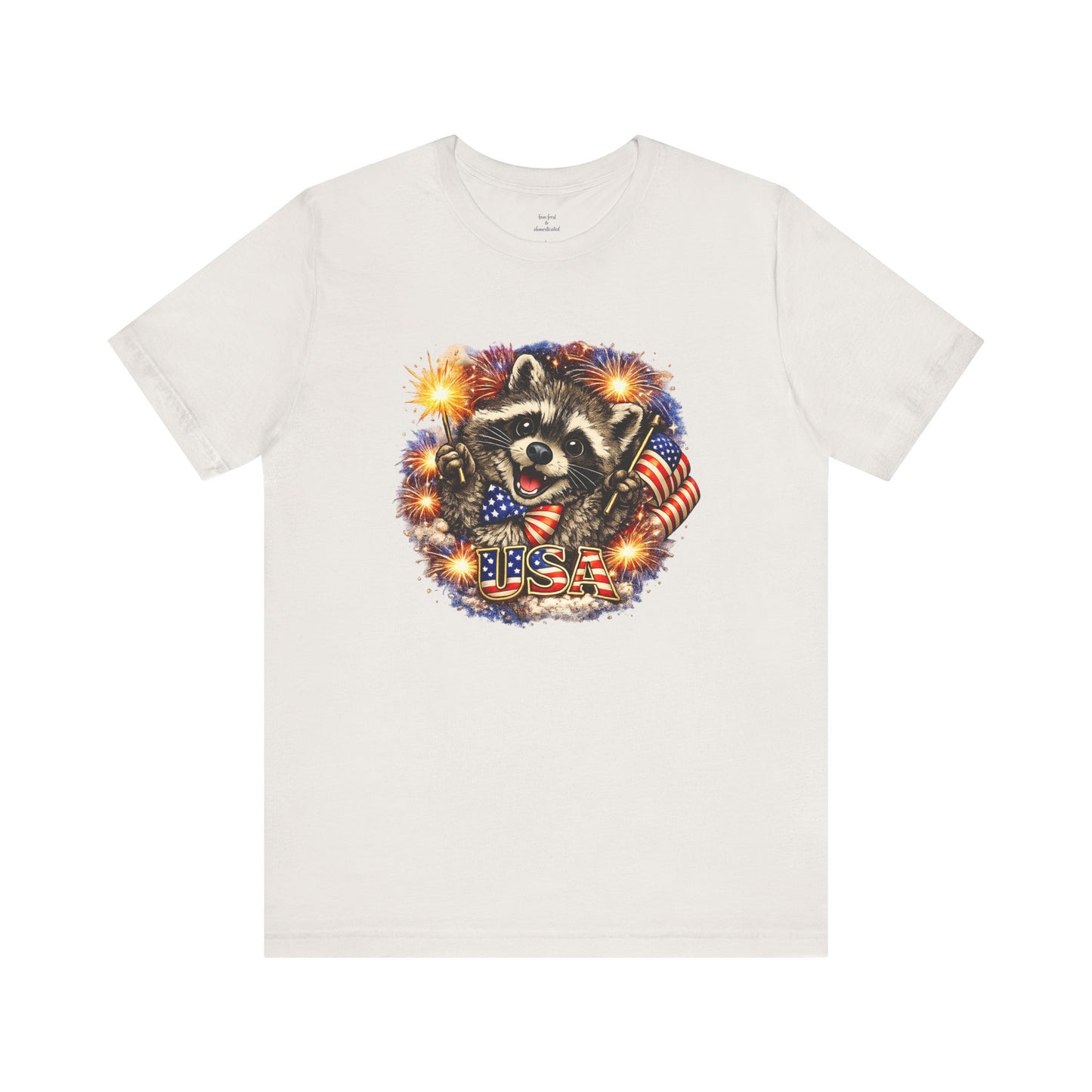 Patriot Raccoon 250th Anniversary T-Shirt — 4th of July Fireworks Flag Tee