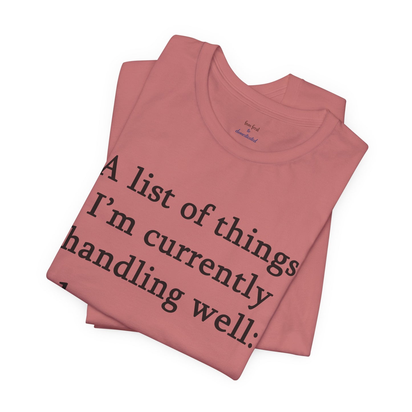 Funny 'A List of Things I'm Currently Handling Well' T-Shirt