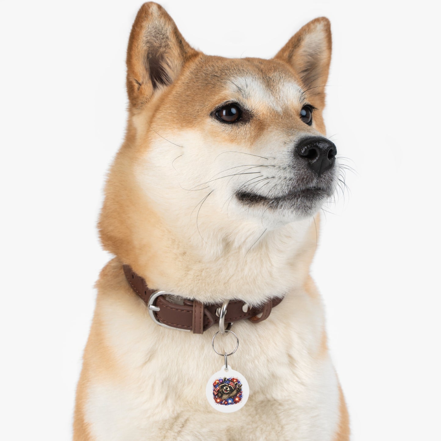 Patriotic Raccoon 4th of July Pet Tag — USA 250 Celebration