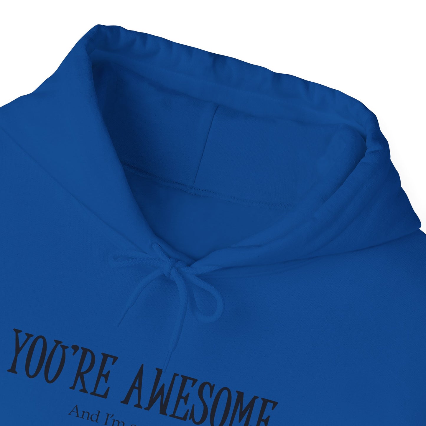 You're Awesome | I'm sarcastic Hoodie
