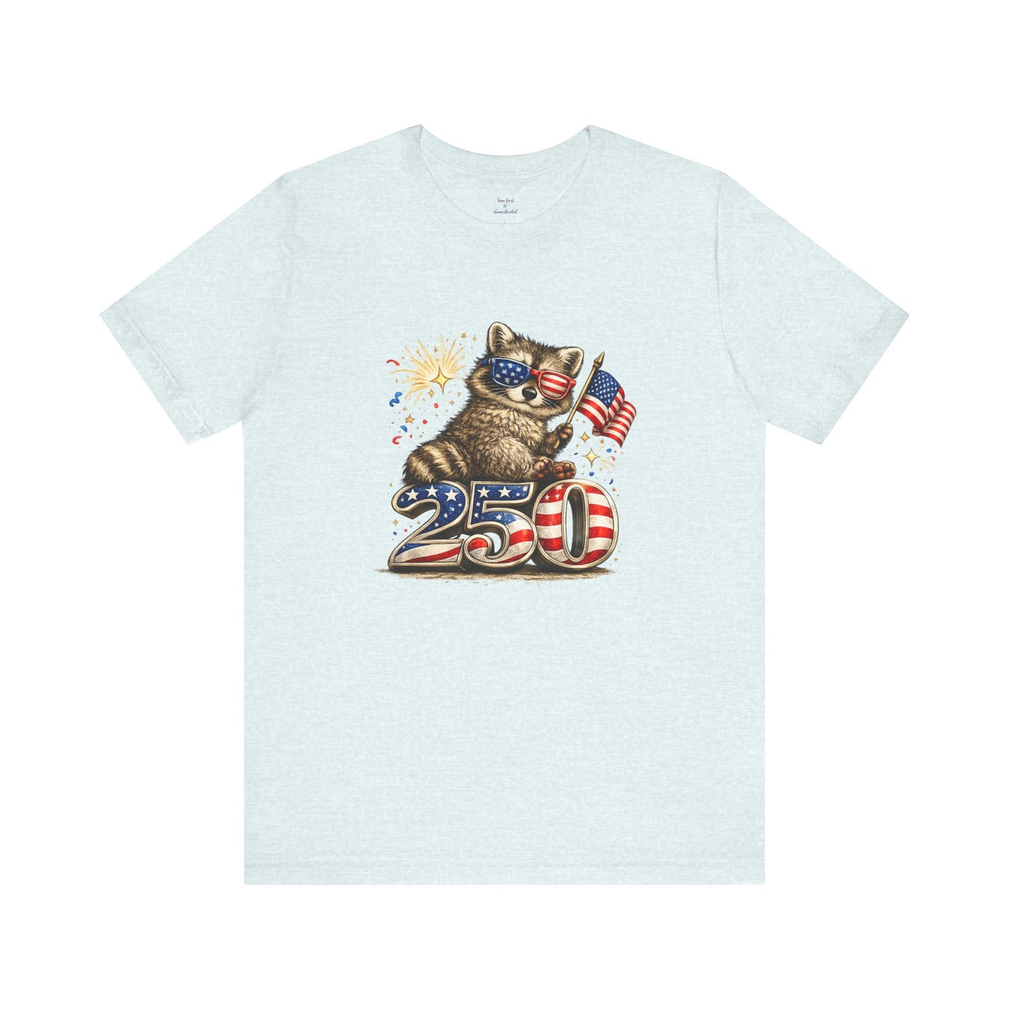 Patriot Raccoon 250th Anniversary T-Shirt — 4th of July Fireworks Flag Tee