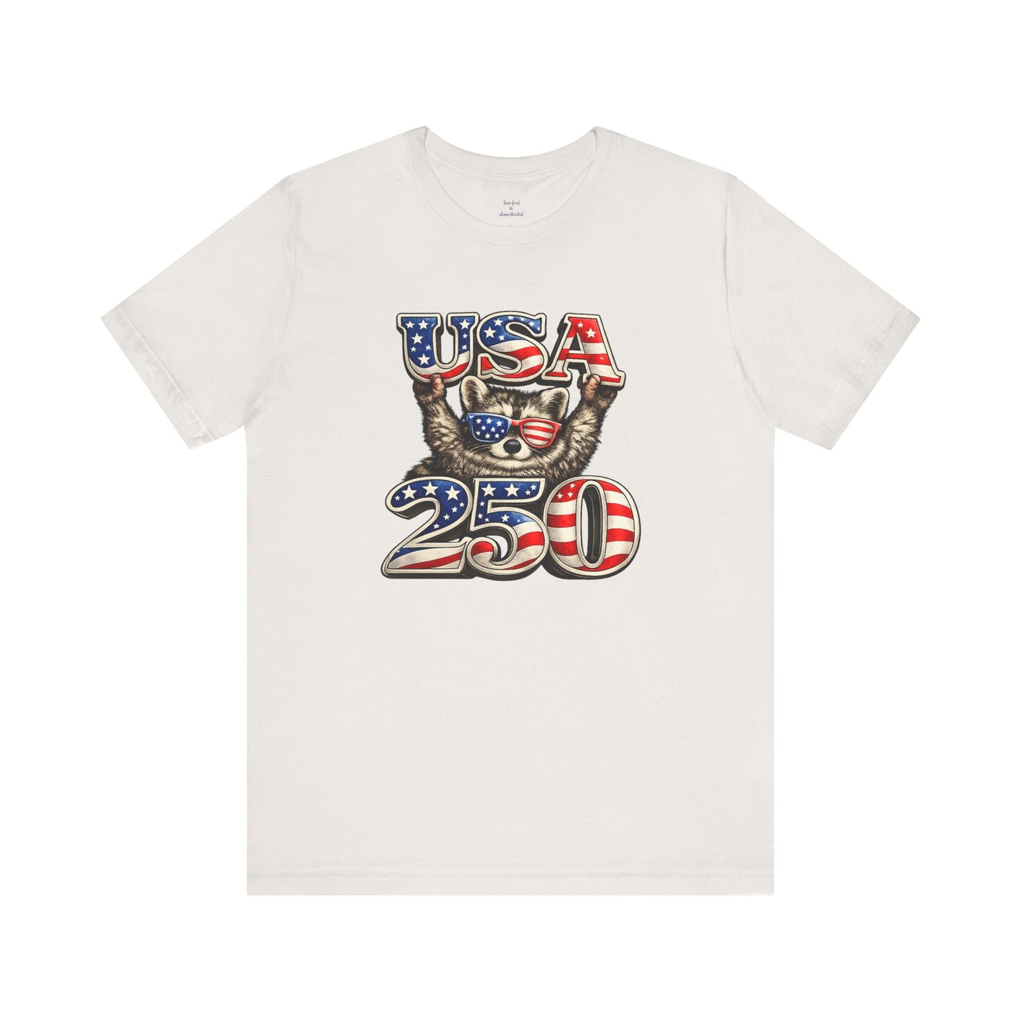 Patriot Raccoon 250th Anniversary T-Shirt — 4th of July Fireworks Flag Tee