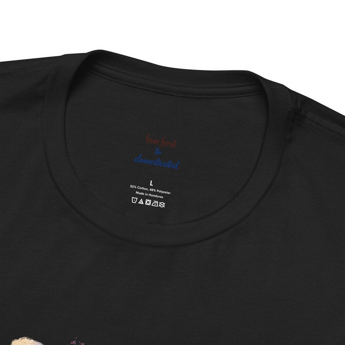 Patriot Raccoon 250th Anniversary T-Shirt — 4th of July Fireworks Flag Tee