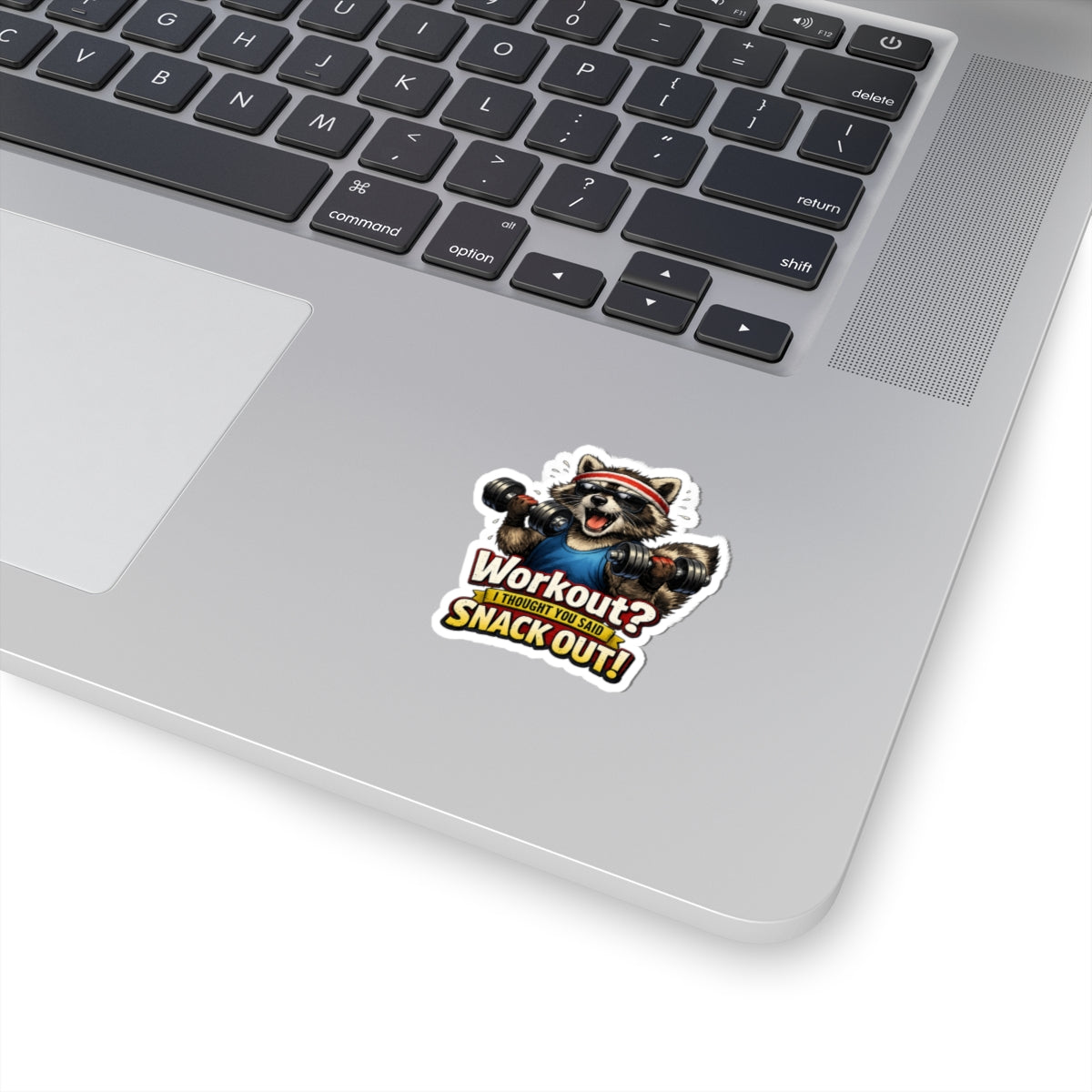Snack Out Raccoon Stickers