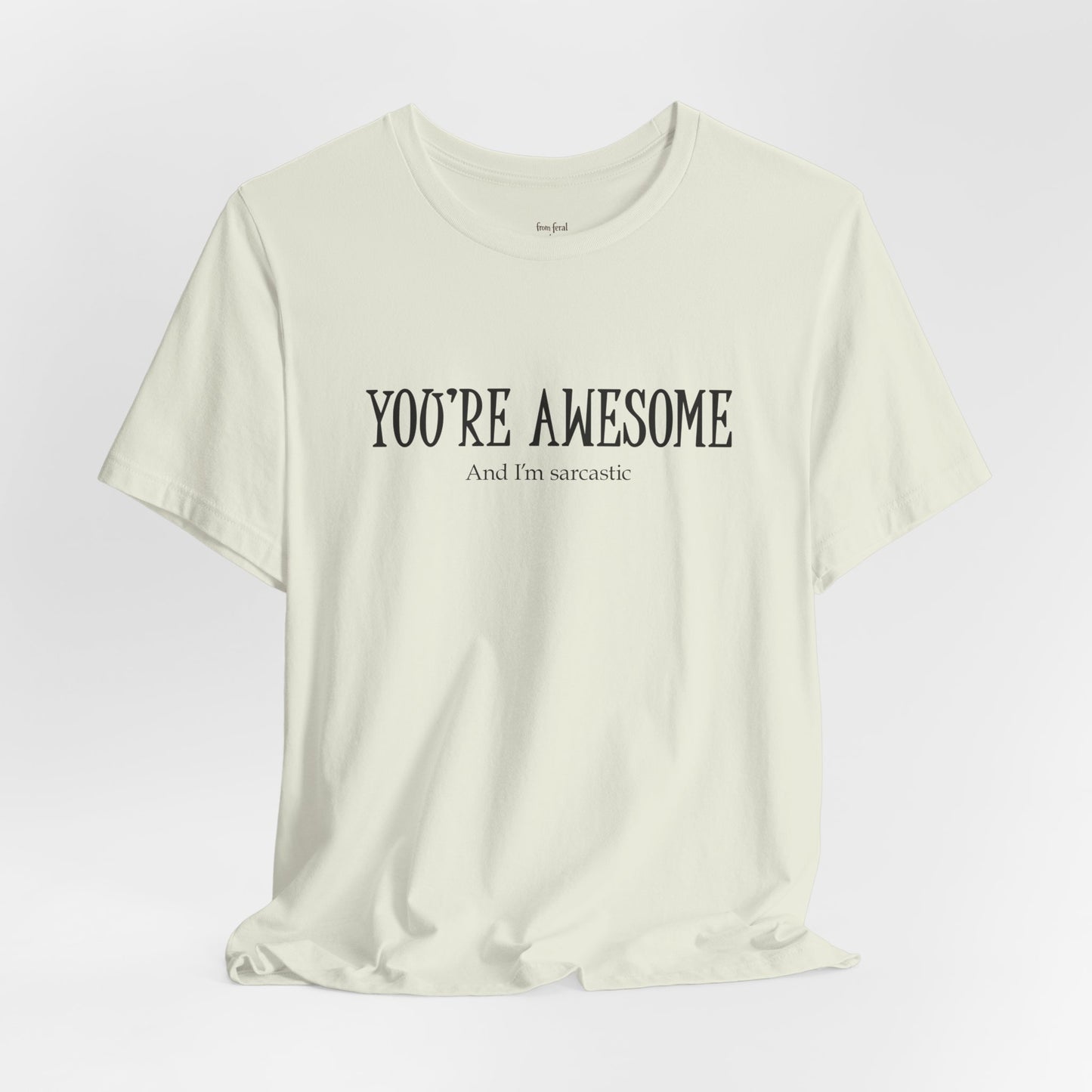 You're Awesome (And I'm Sarcastic) T-Shirt