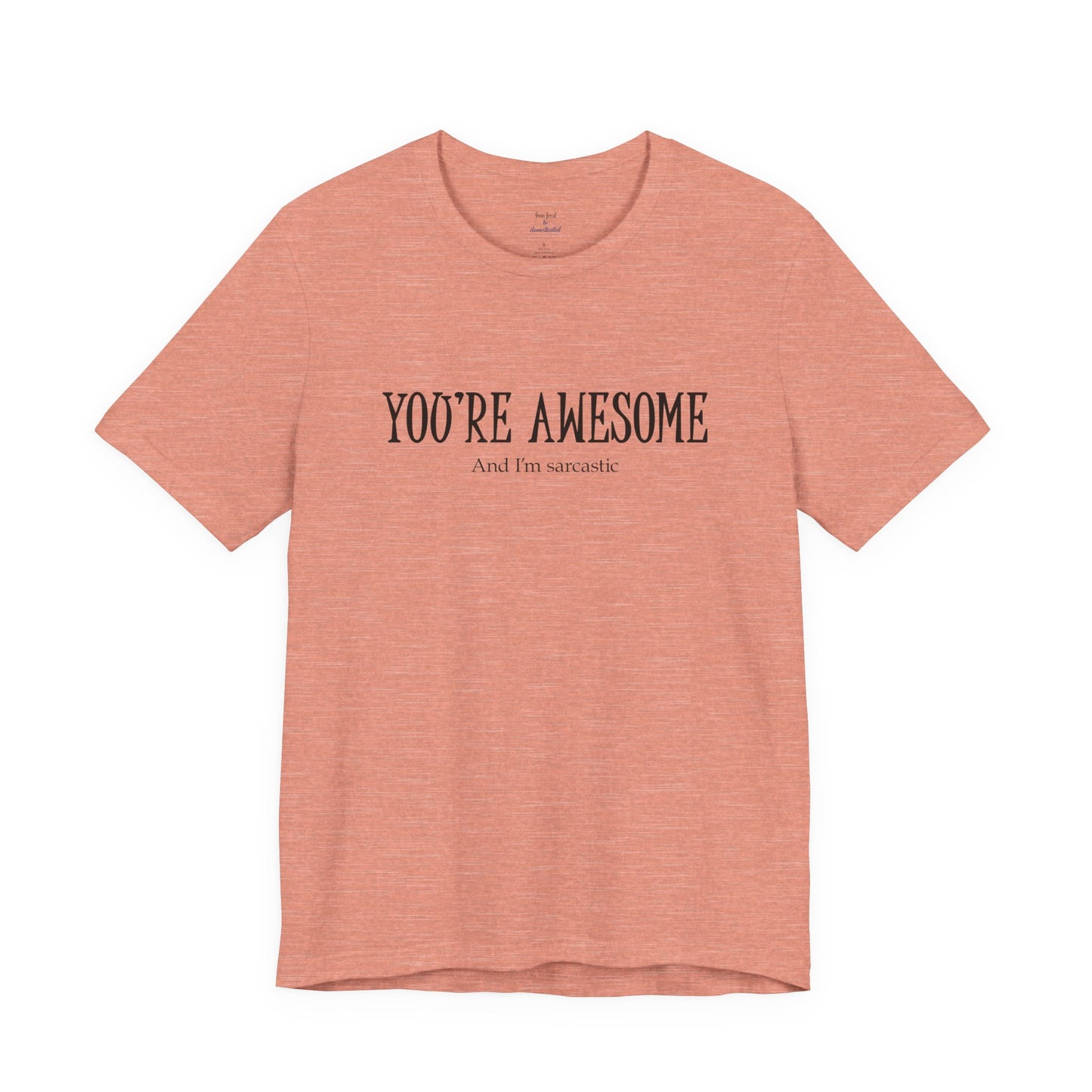 You're Awesome (And I'm Sarcastic) T-Shirt