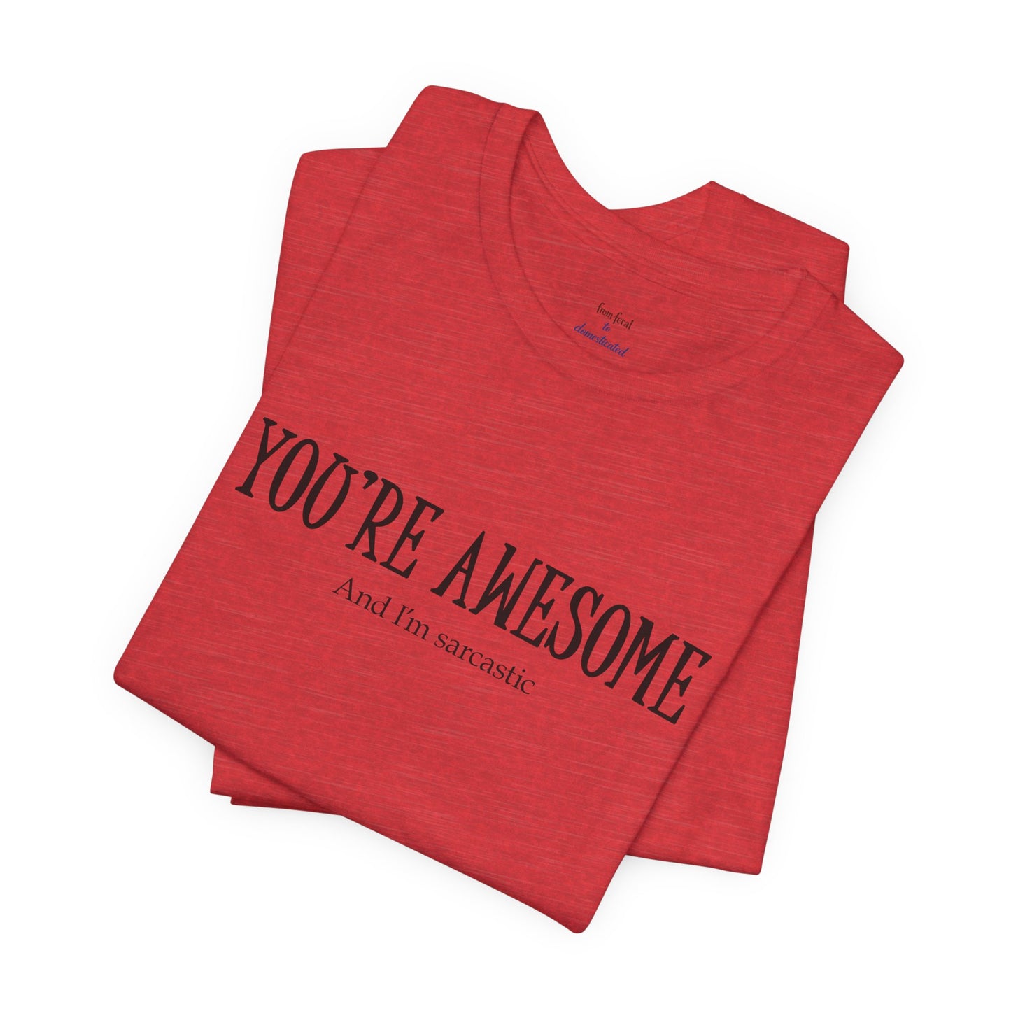 You're Awesome (And I'm Sarcastic) T-Shirt